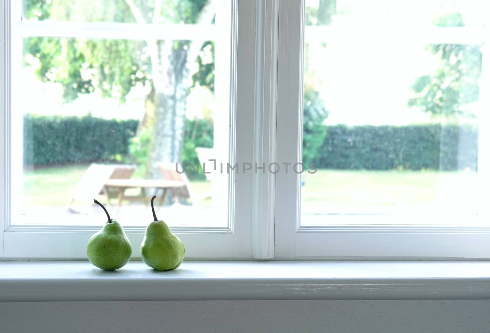 two, green pears on window sill