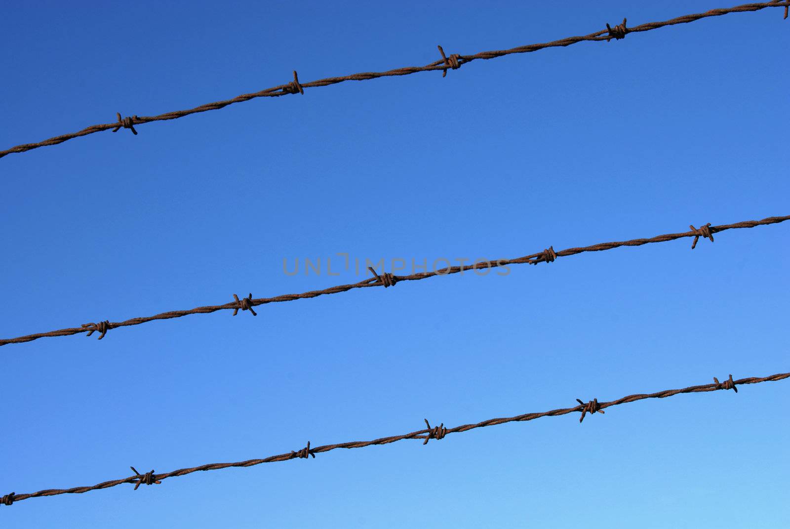 Cut wire fence detail with clear blue sky background.