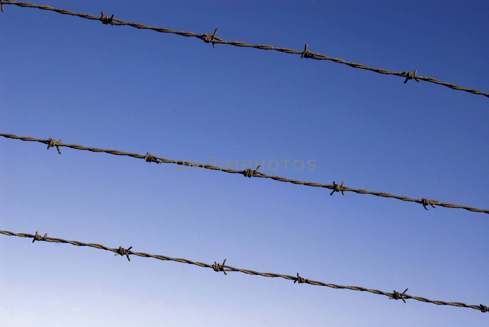 Cut wire fence with dark blue sky background.