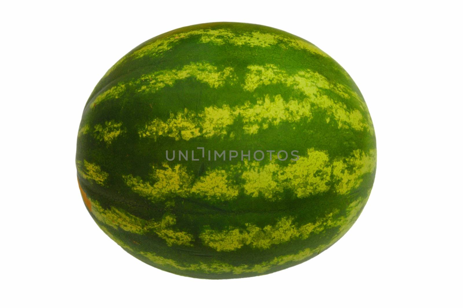 Watermelon on the white background