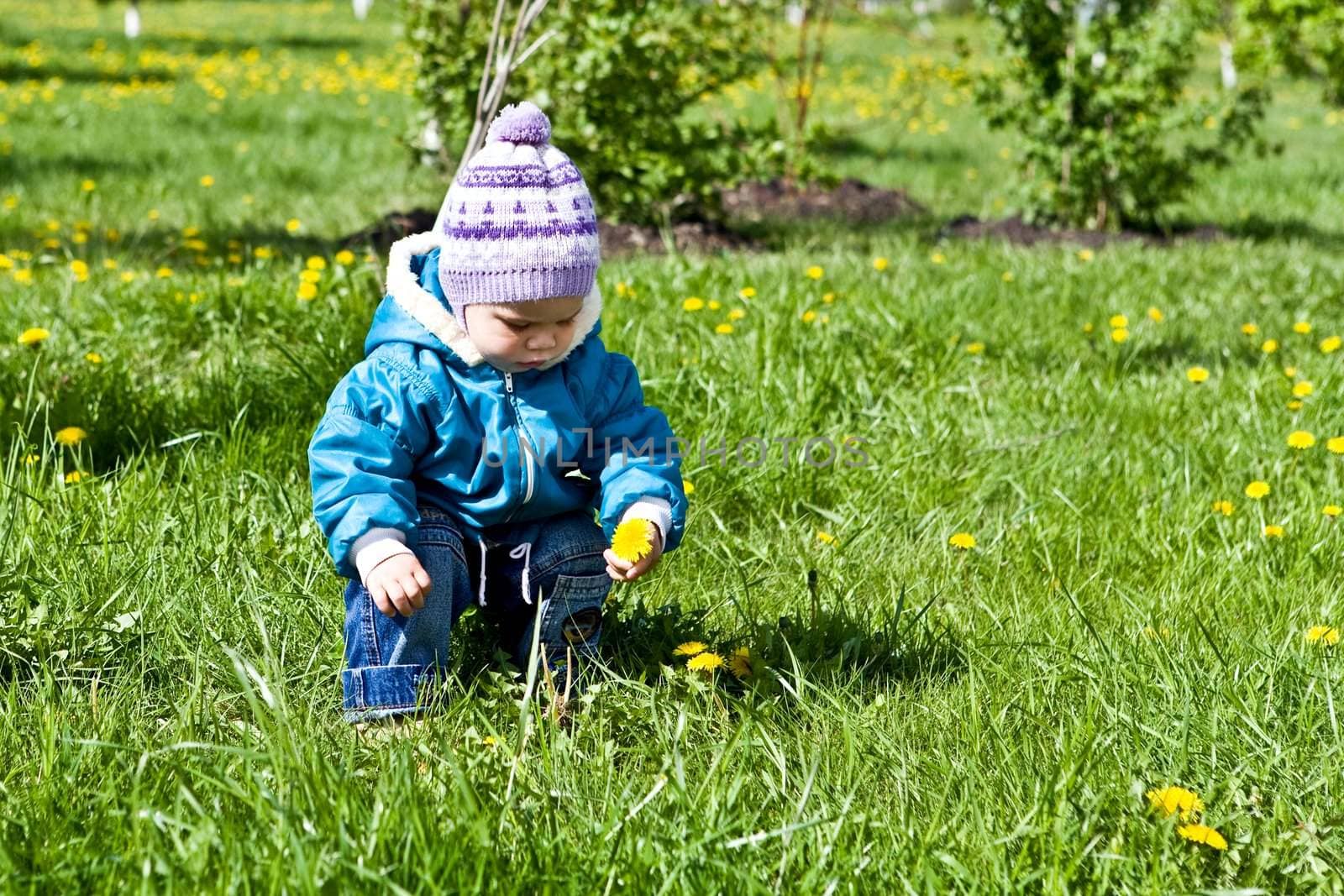 Gathering of dandelions on a glade 3 by DimasEKB