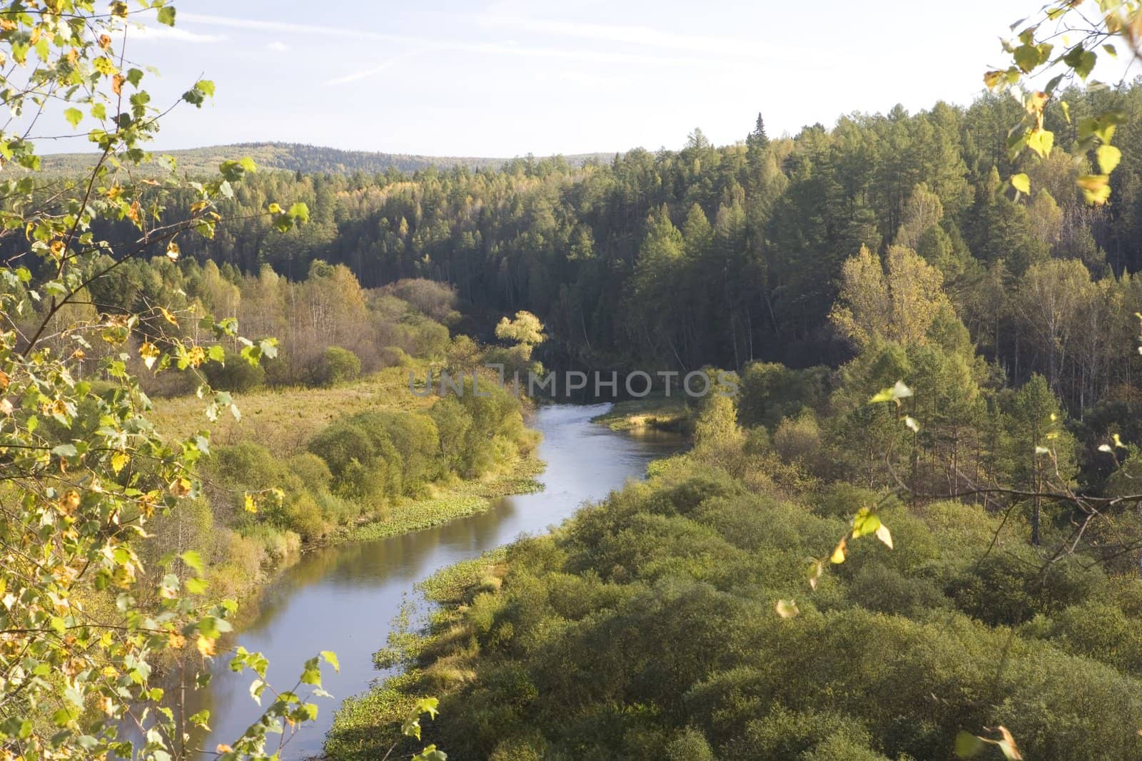 National reserve  Deer Streams The river Serga