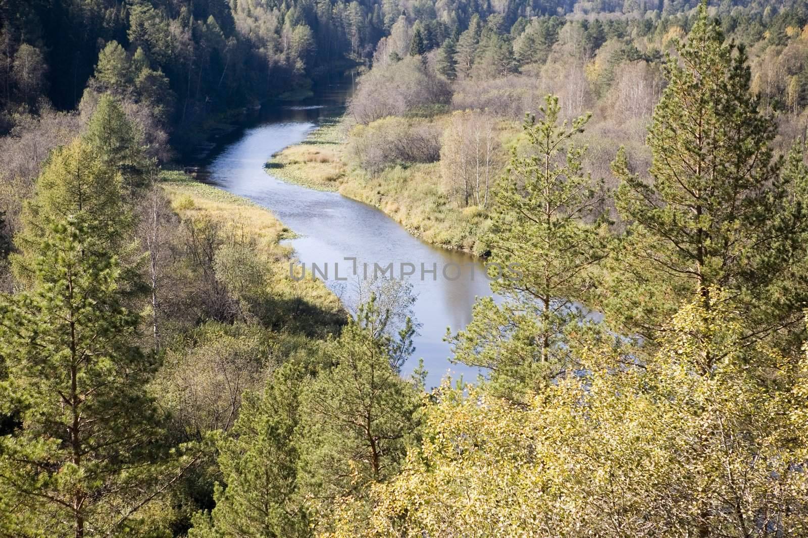 National reserve  Deer Streams The river Serga 4