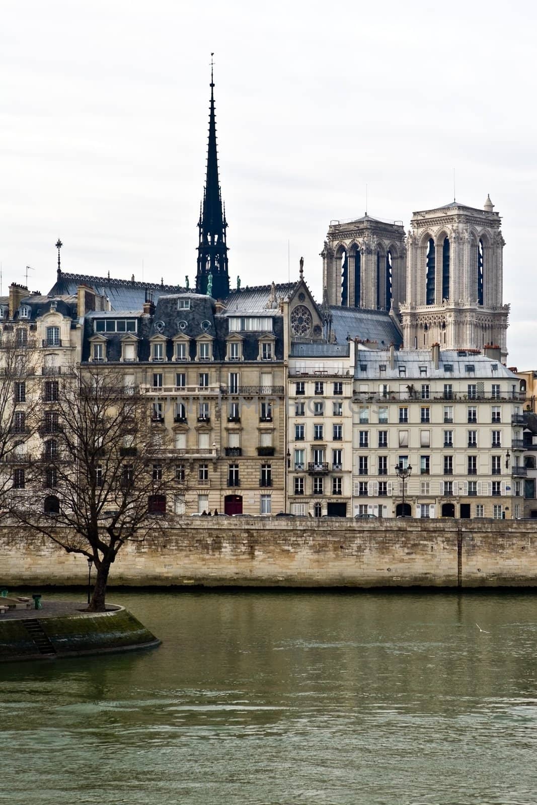Sight on Notre-Dame from other coast