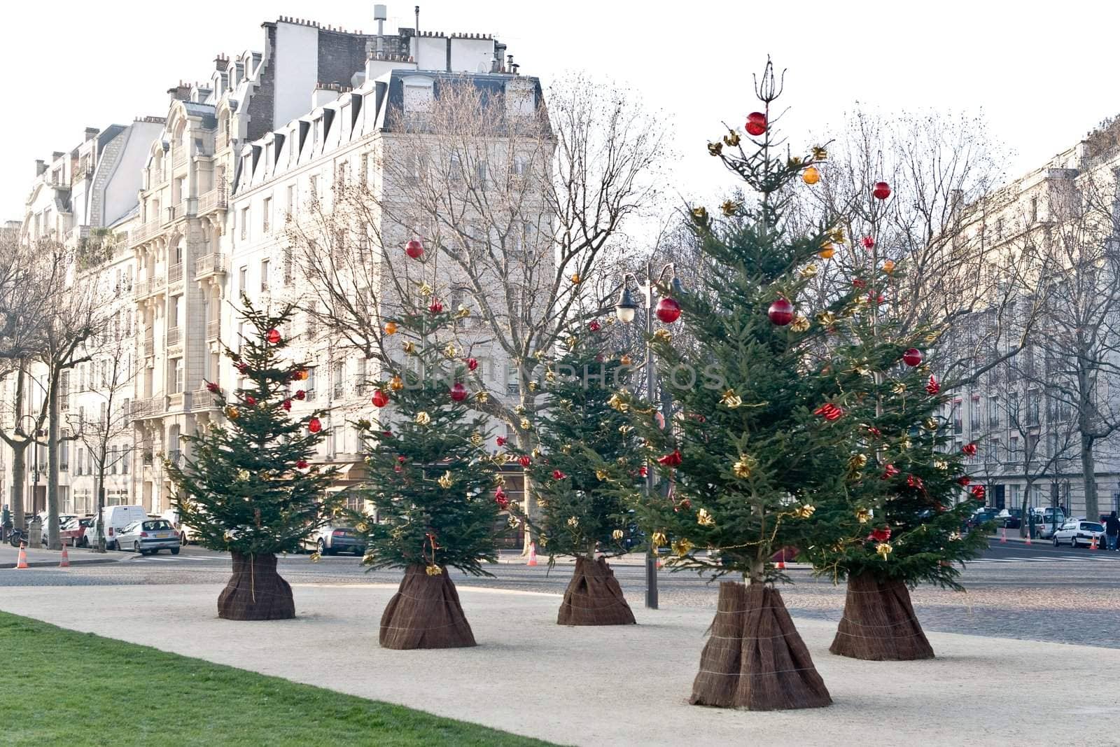 Streets of Paris before Christmas