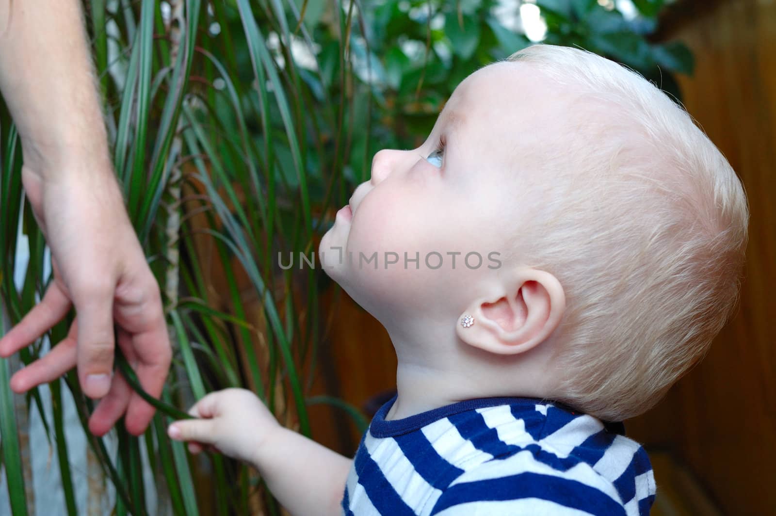 Little girl with blond hair and man's hand on green plant background.