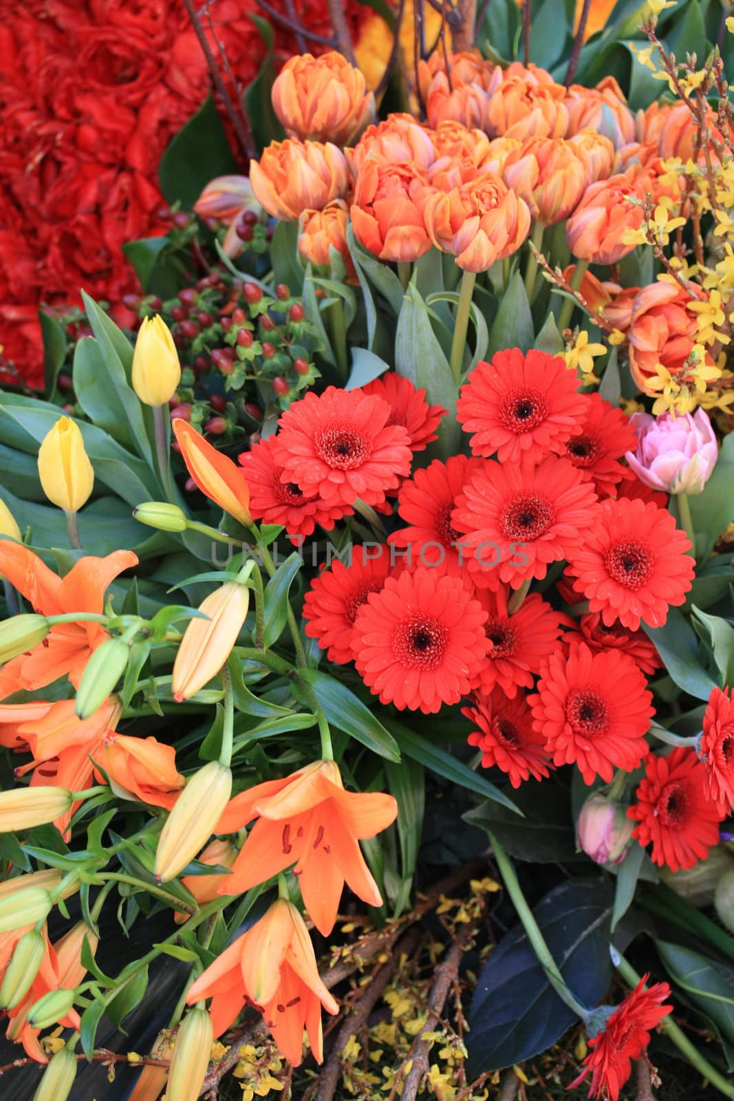 Red and orange flower arrangement on a flower parade: red gerberas, orange tulips and tigerlilies