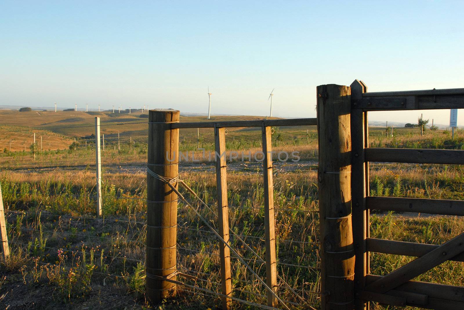 Gate in wire fence at a windmills farm by cienpies