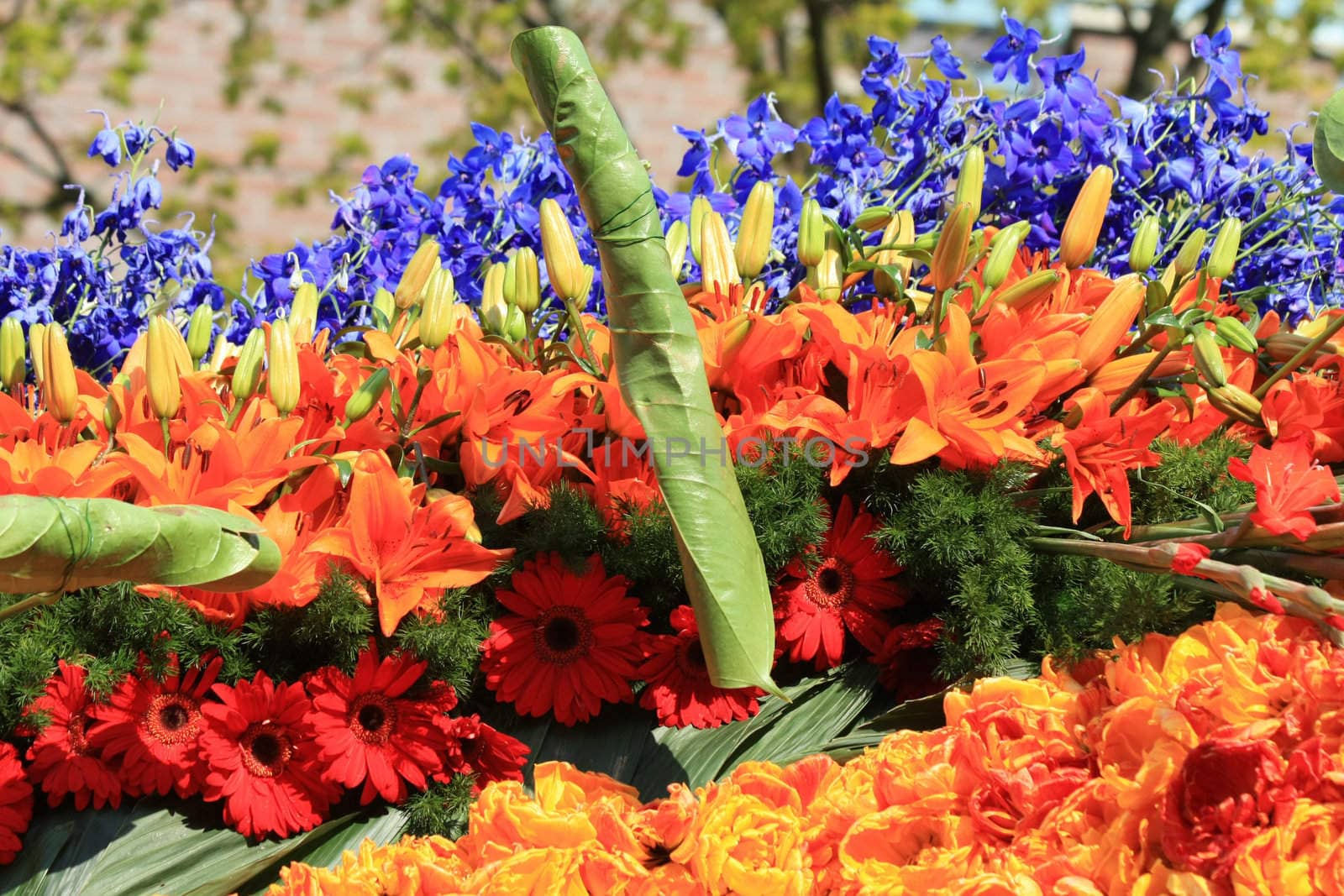 Orange lilies and gerberas and blue and yellow flowers in a parade arrangement