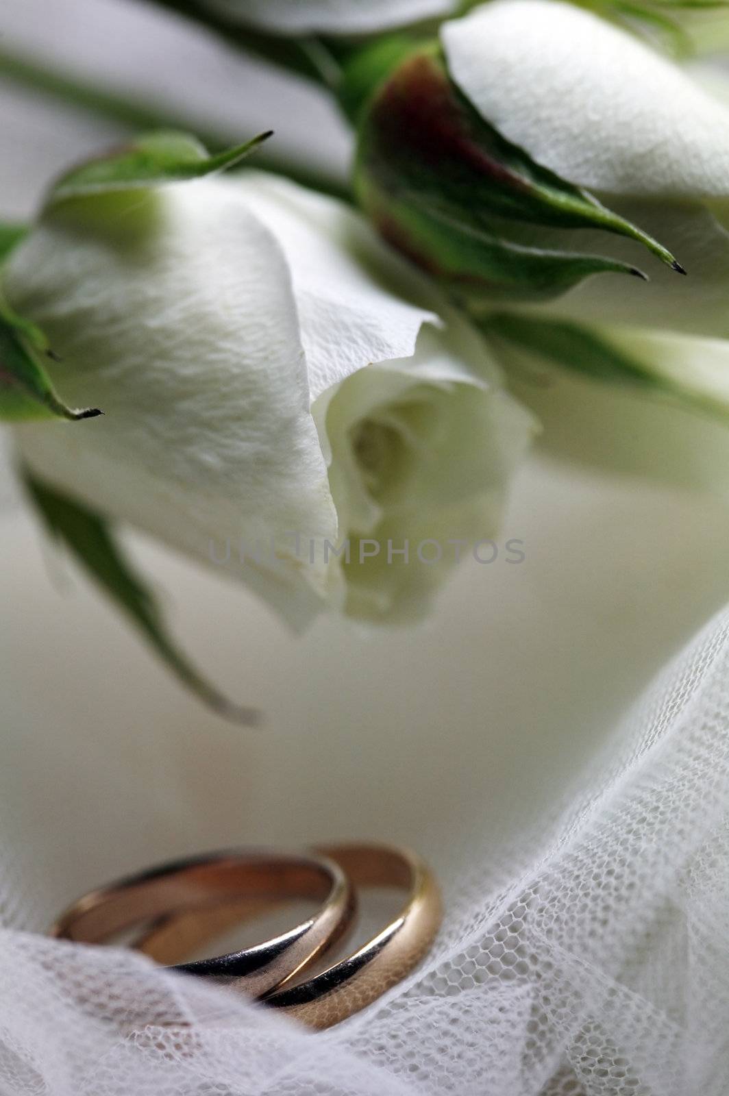 Wedding rings on a background of white flowers