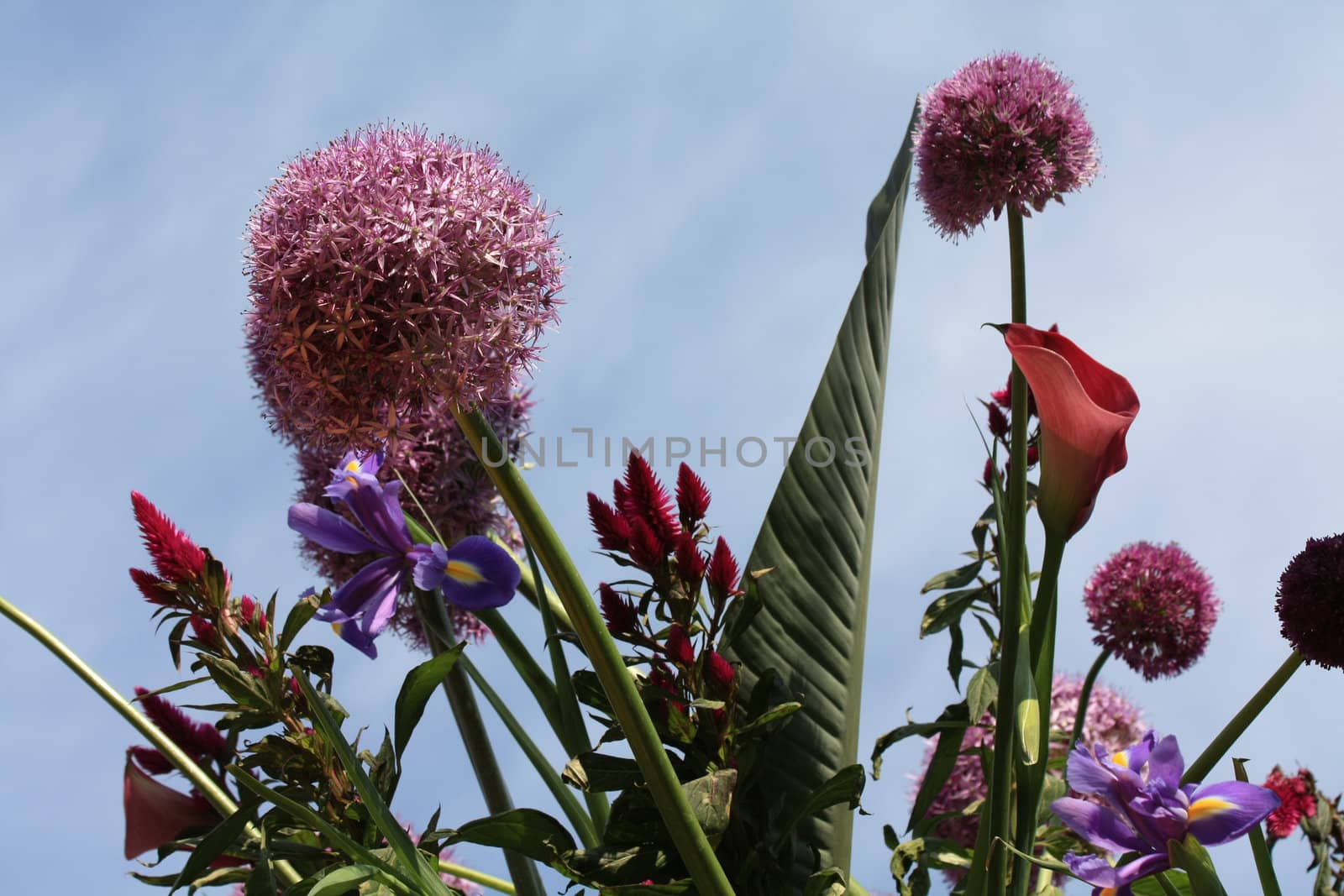 A bouquet of spring flowers and a clear blue sky