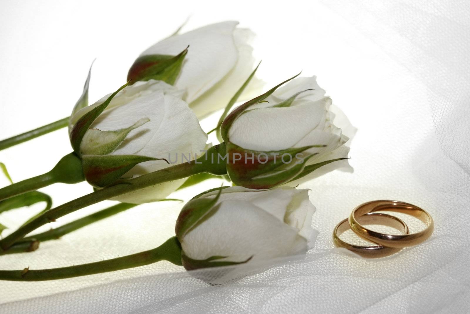 Wedding rings and white roses
