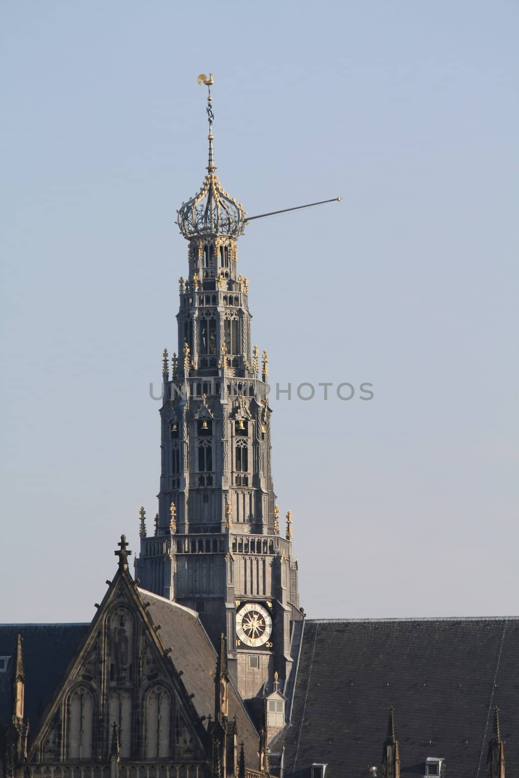 Saint Bavo Church, Haarlem by studioportosabbia