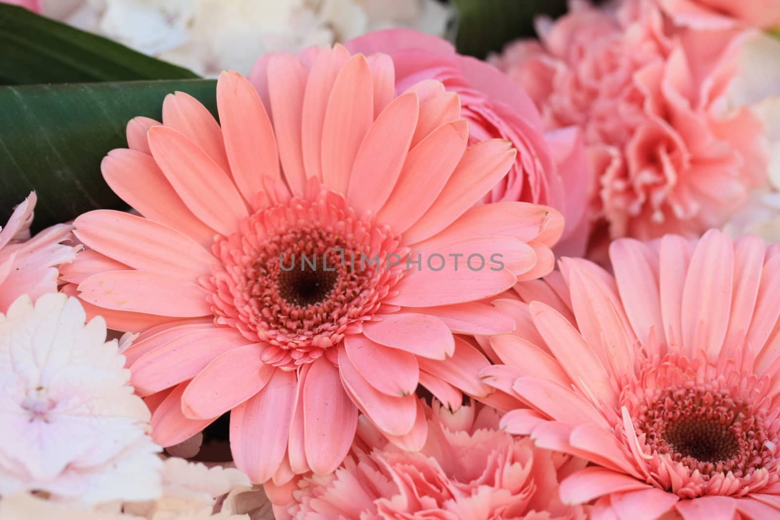 pink gerberas in a flower arrangement