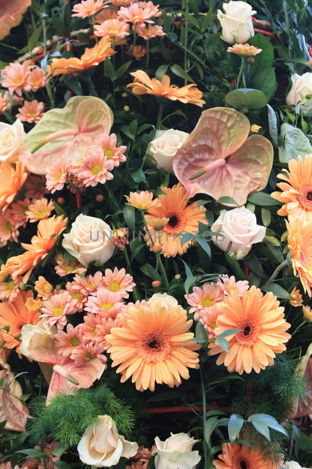 Pink and orange flowers: gerbera, anthurium and roses