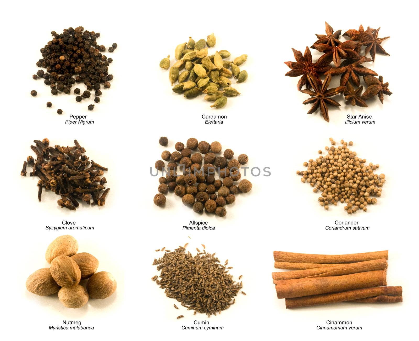 Spice chart by timscottrom
