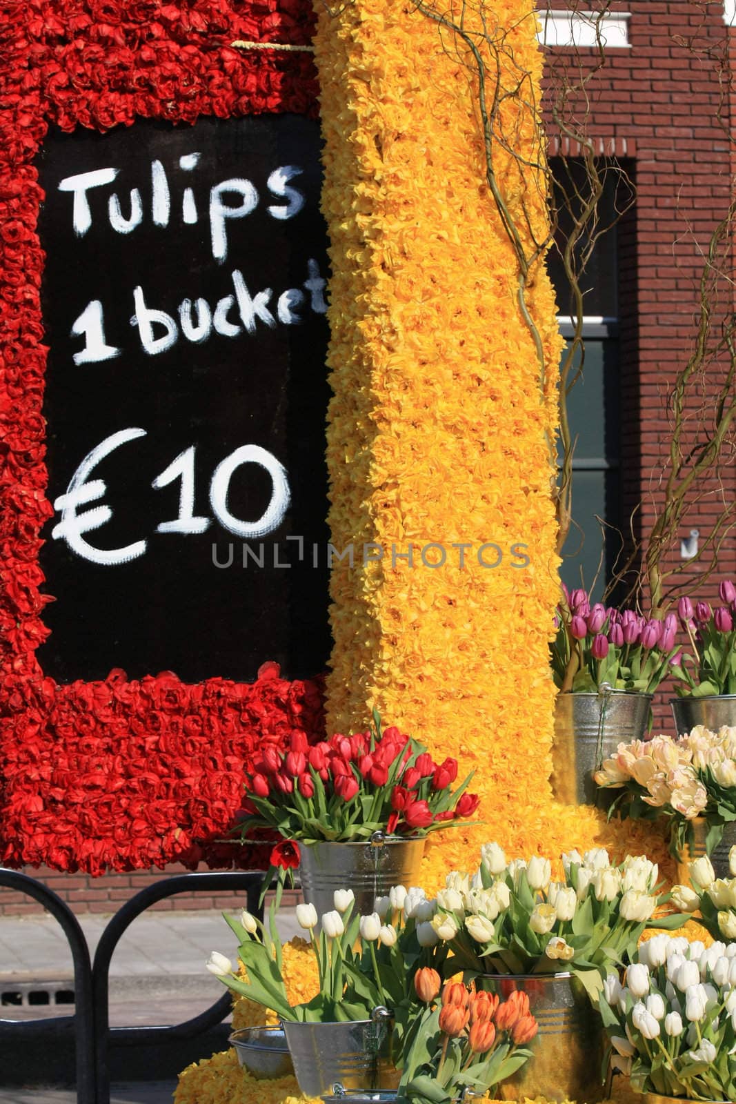 tulips for sale by studioportosabbia