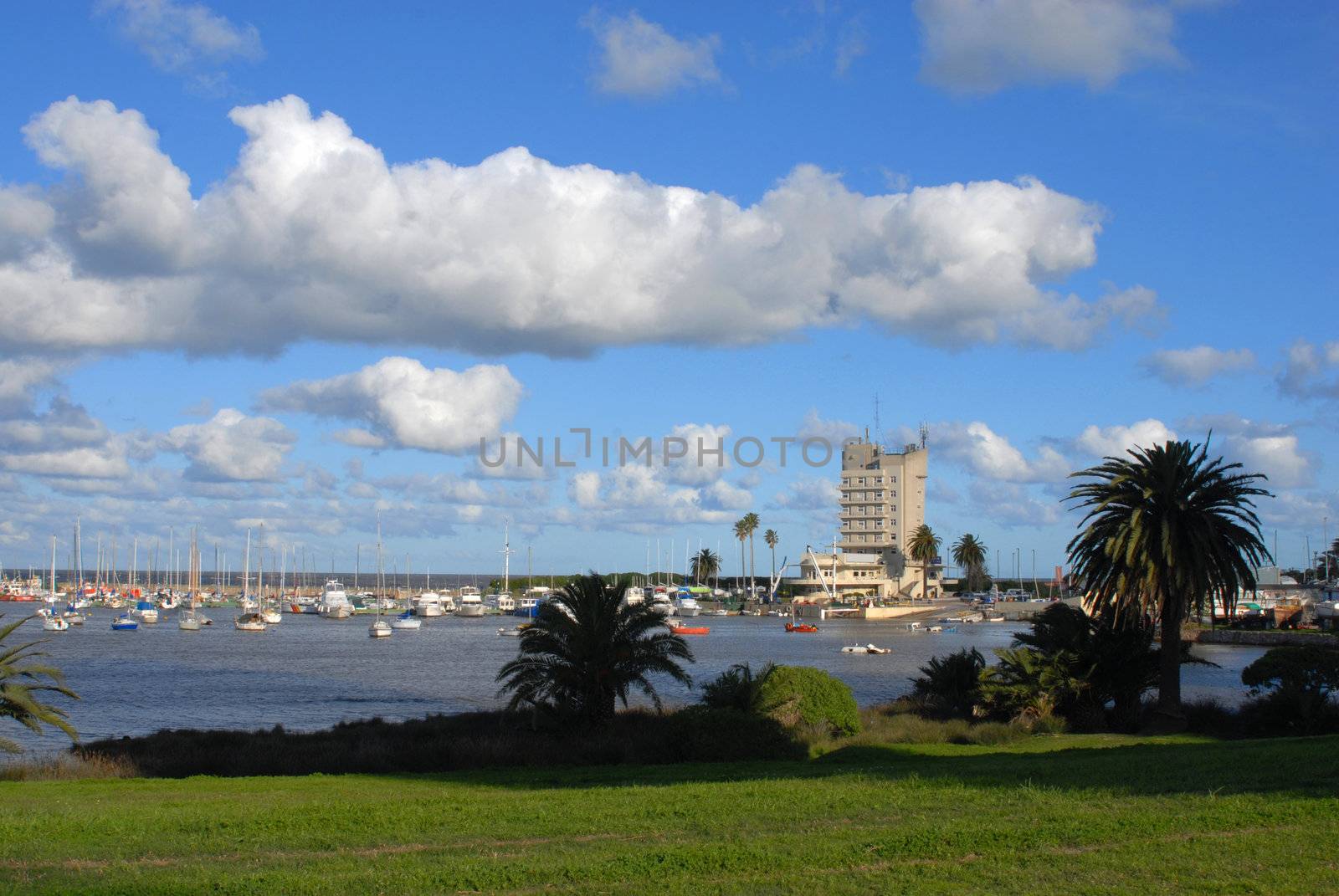 Yachts and boats at the marina under a blue cloudy sky