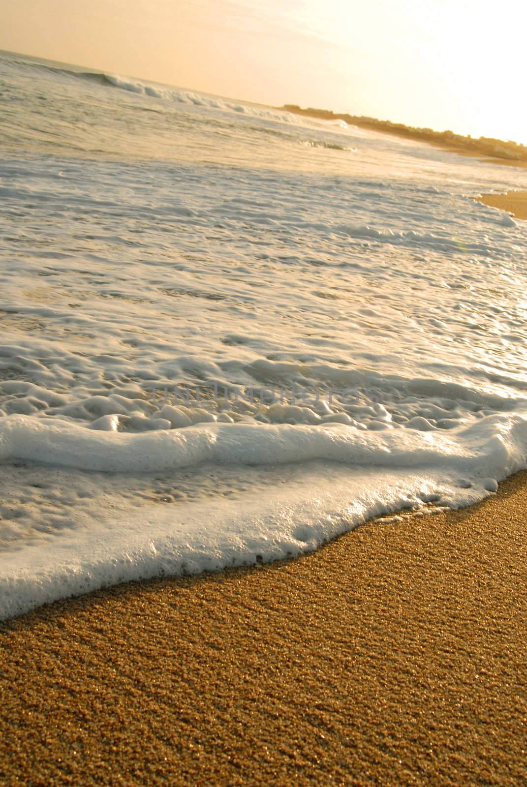 Wave foam and golden sand on the shore. Beach landscape