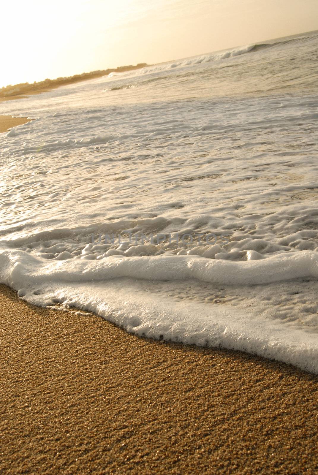 Wave foam and golden sand on the shore. Beach background