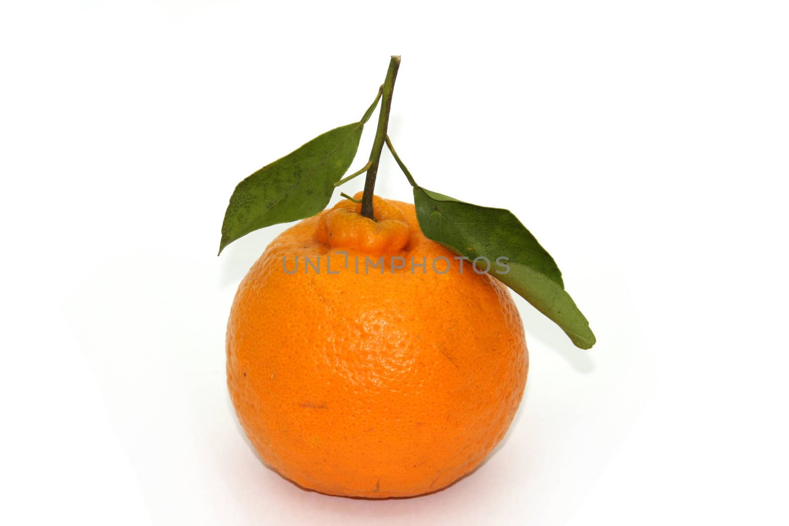 Fresh fruit - tangerine by LuBueno