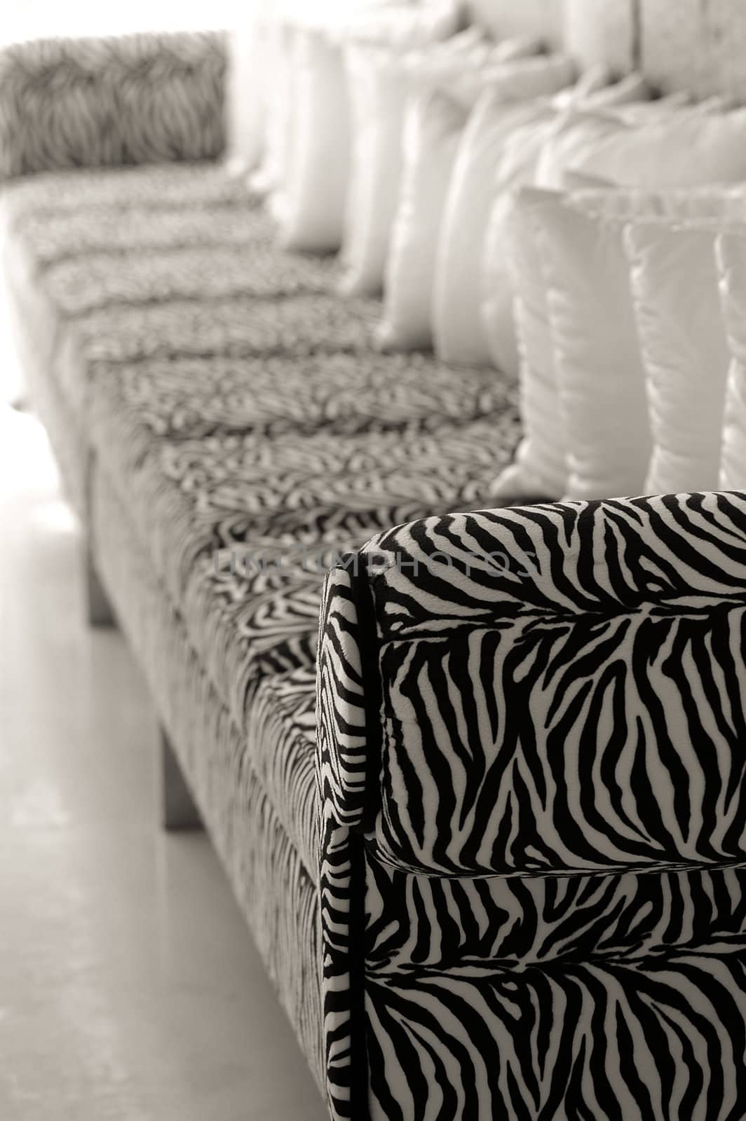 Zebra sofa by cfoto