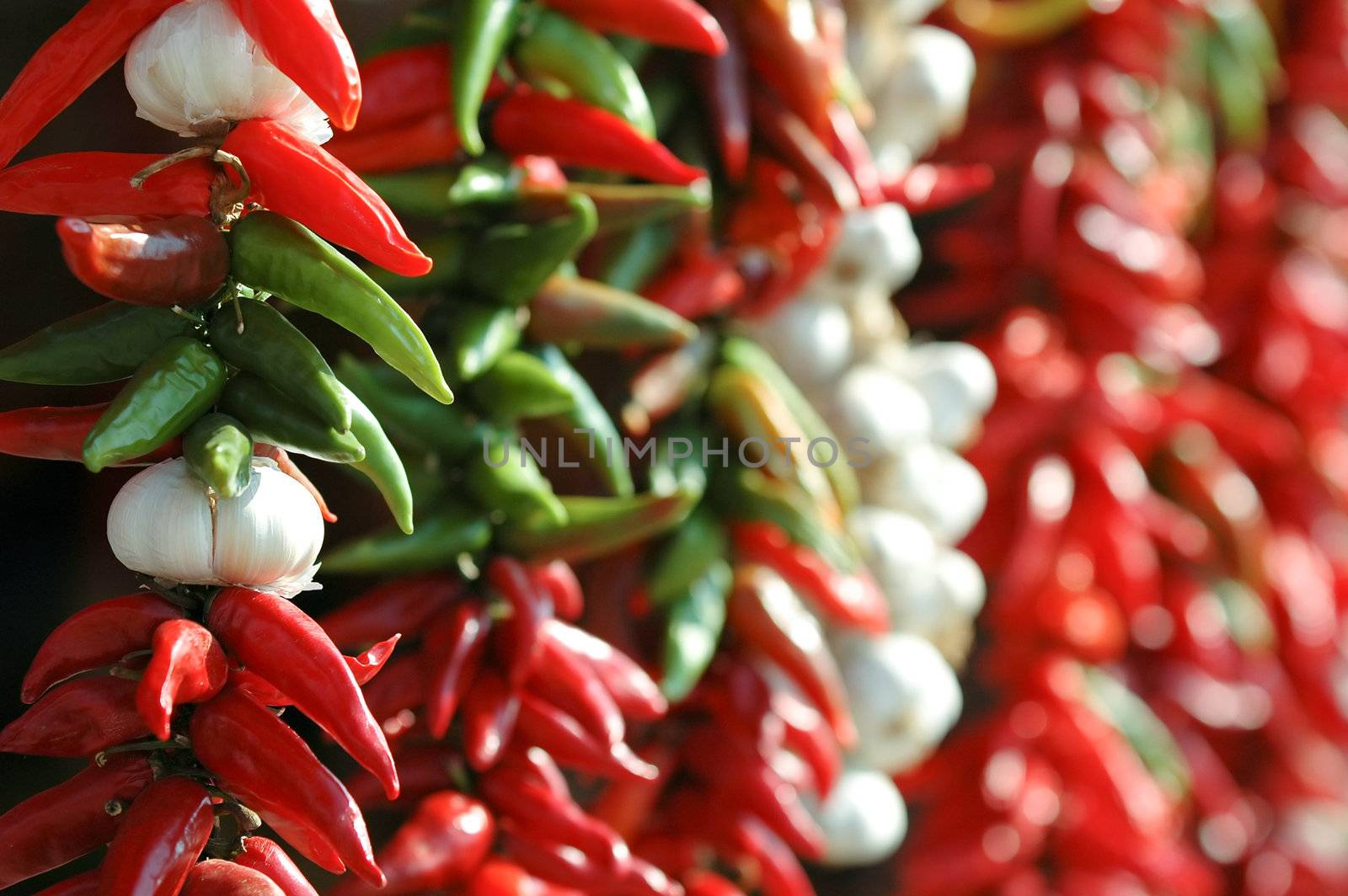 Spices hanging in rows