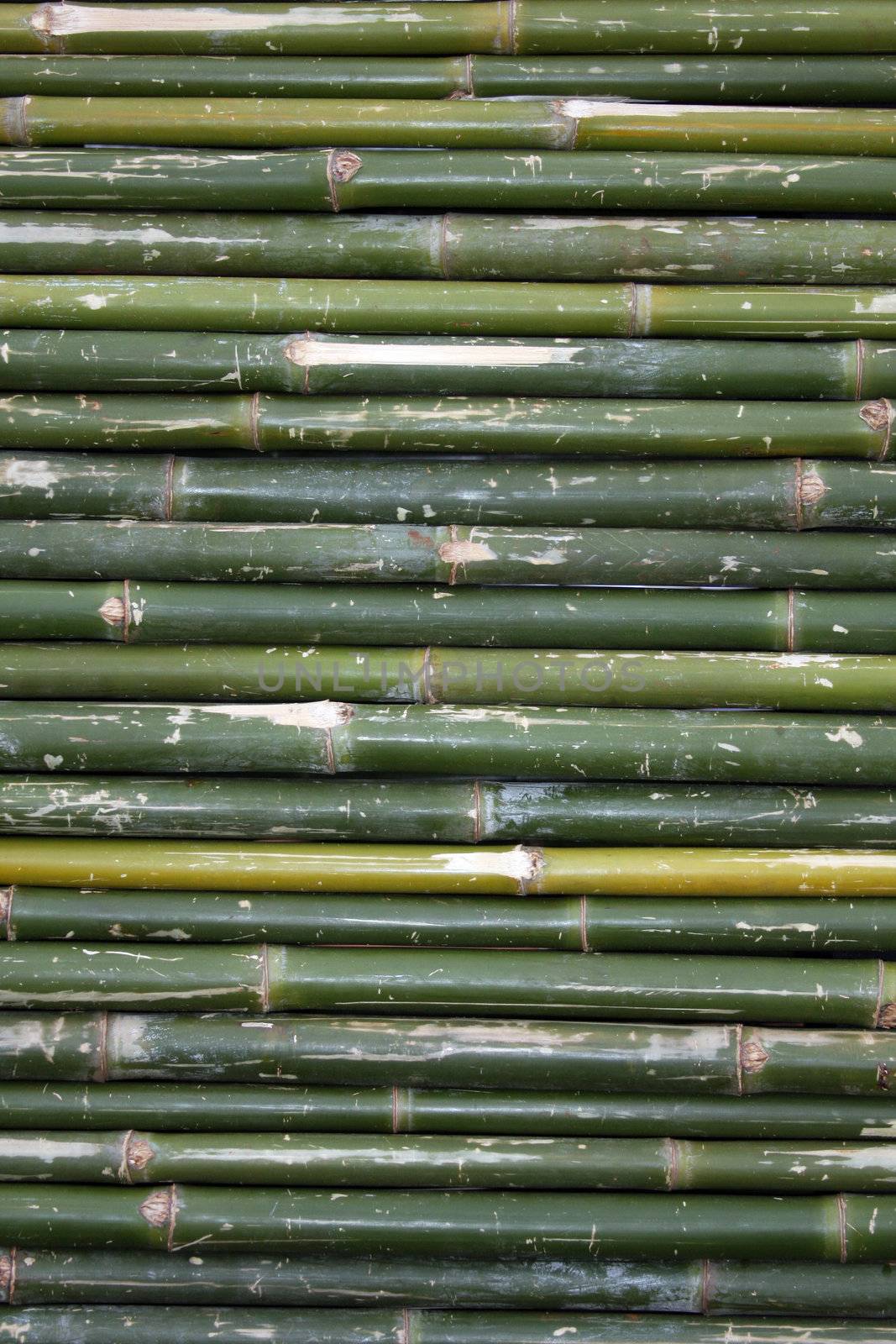 Bamboo background by LuBueno