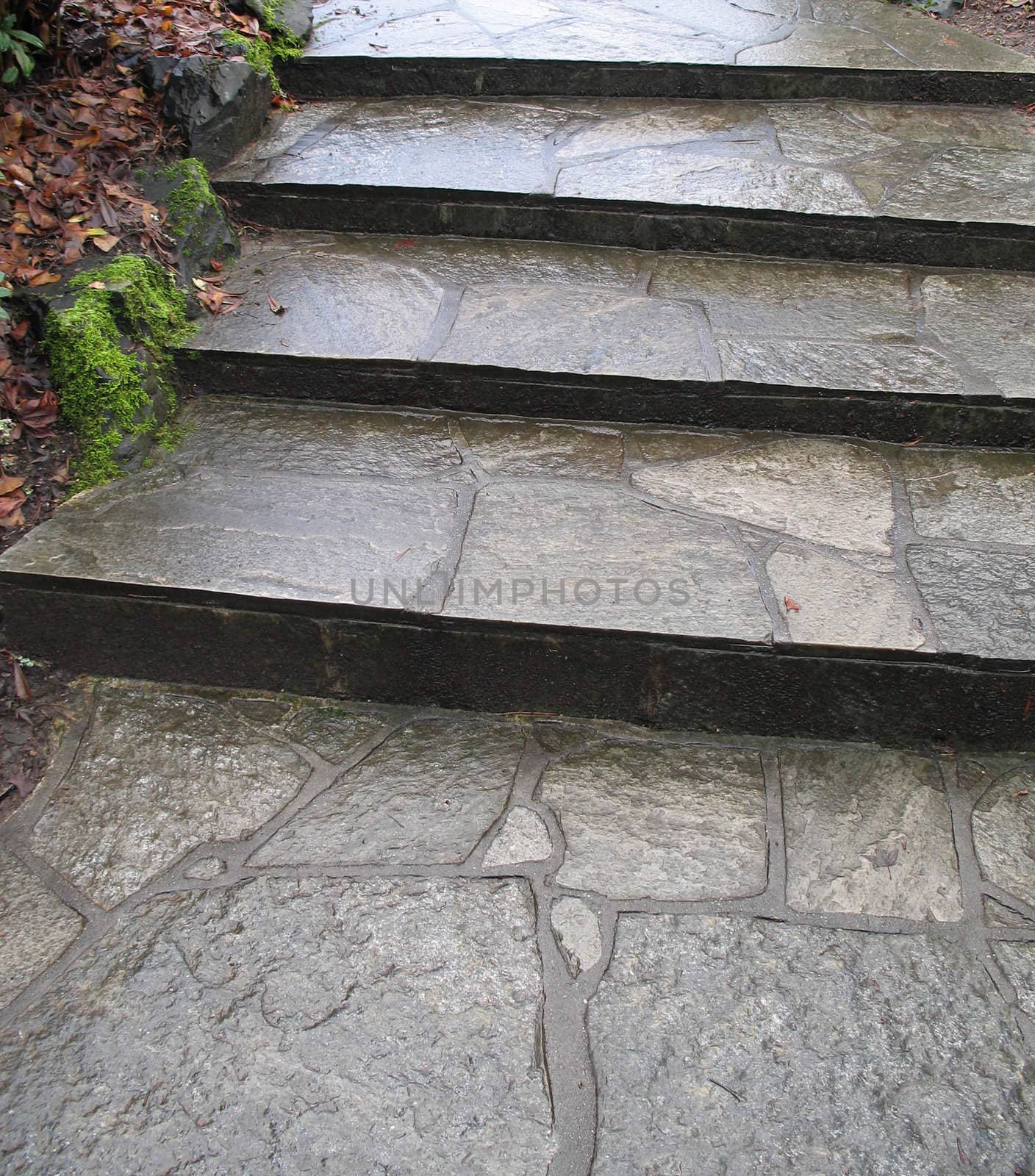 stone steps by mmm