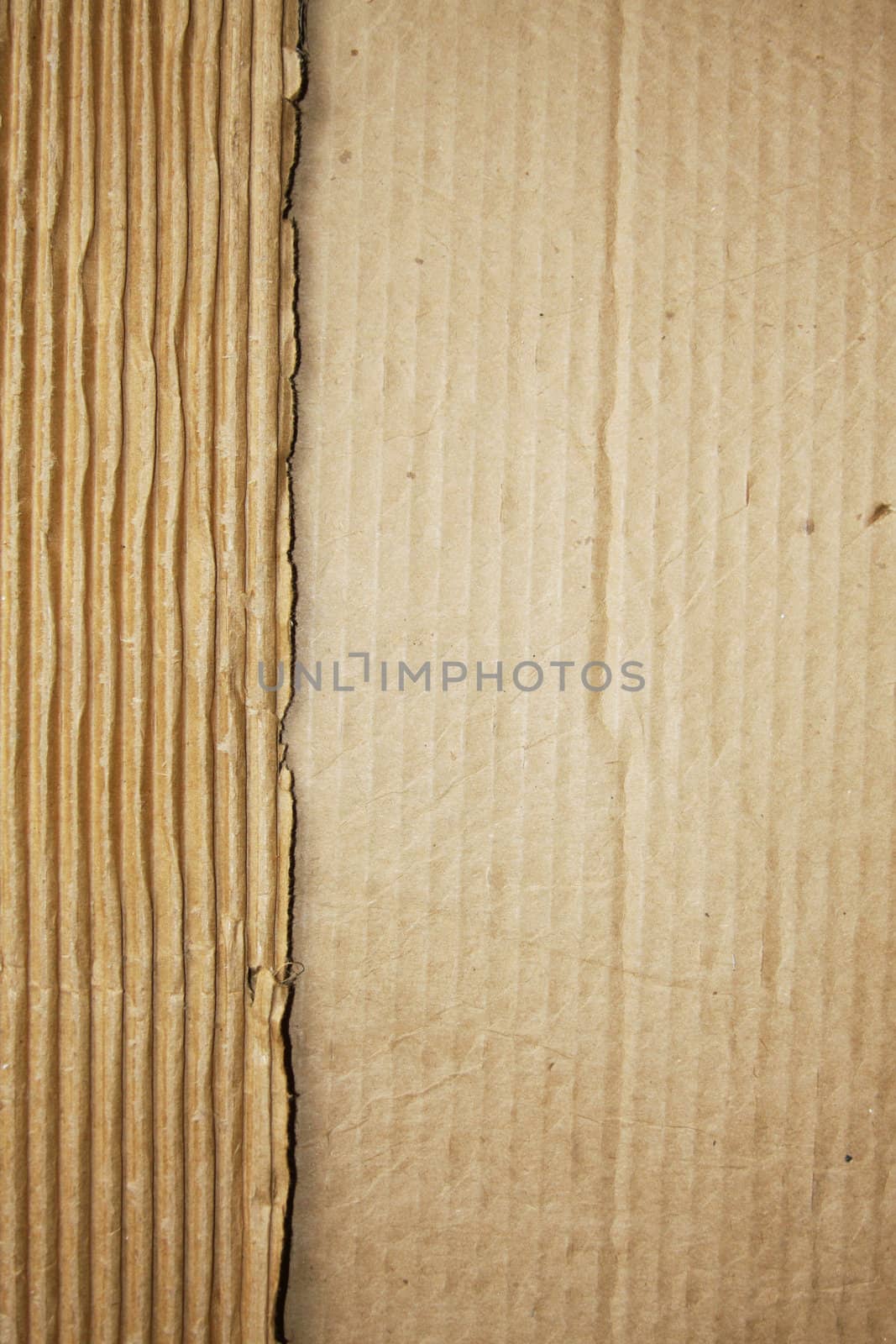 Ripped Cardboard by LuBueno