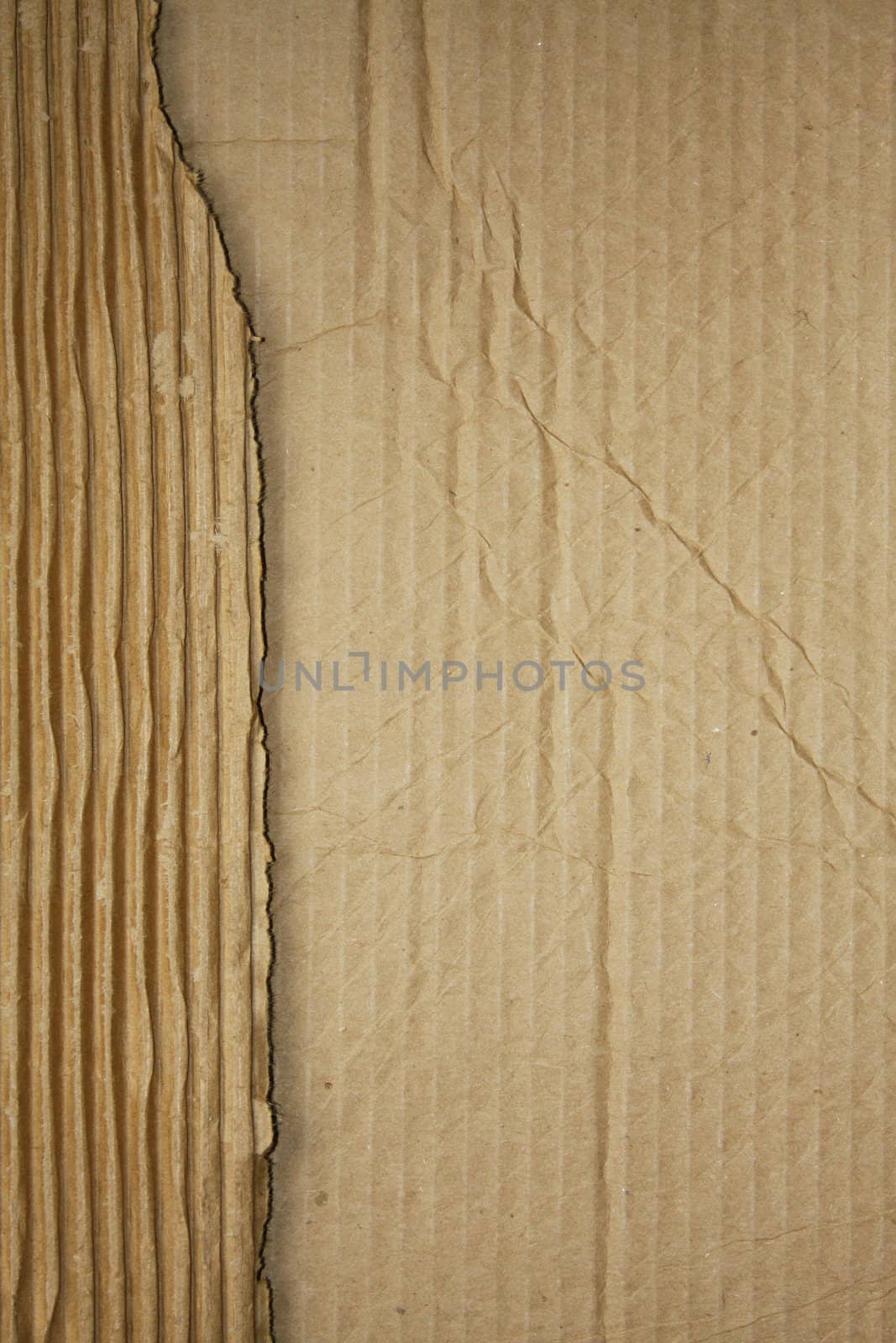 Cardboard by LuBueno