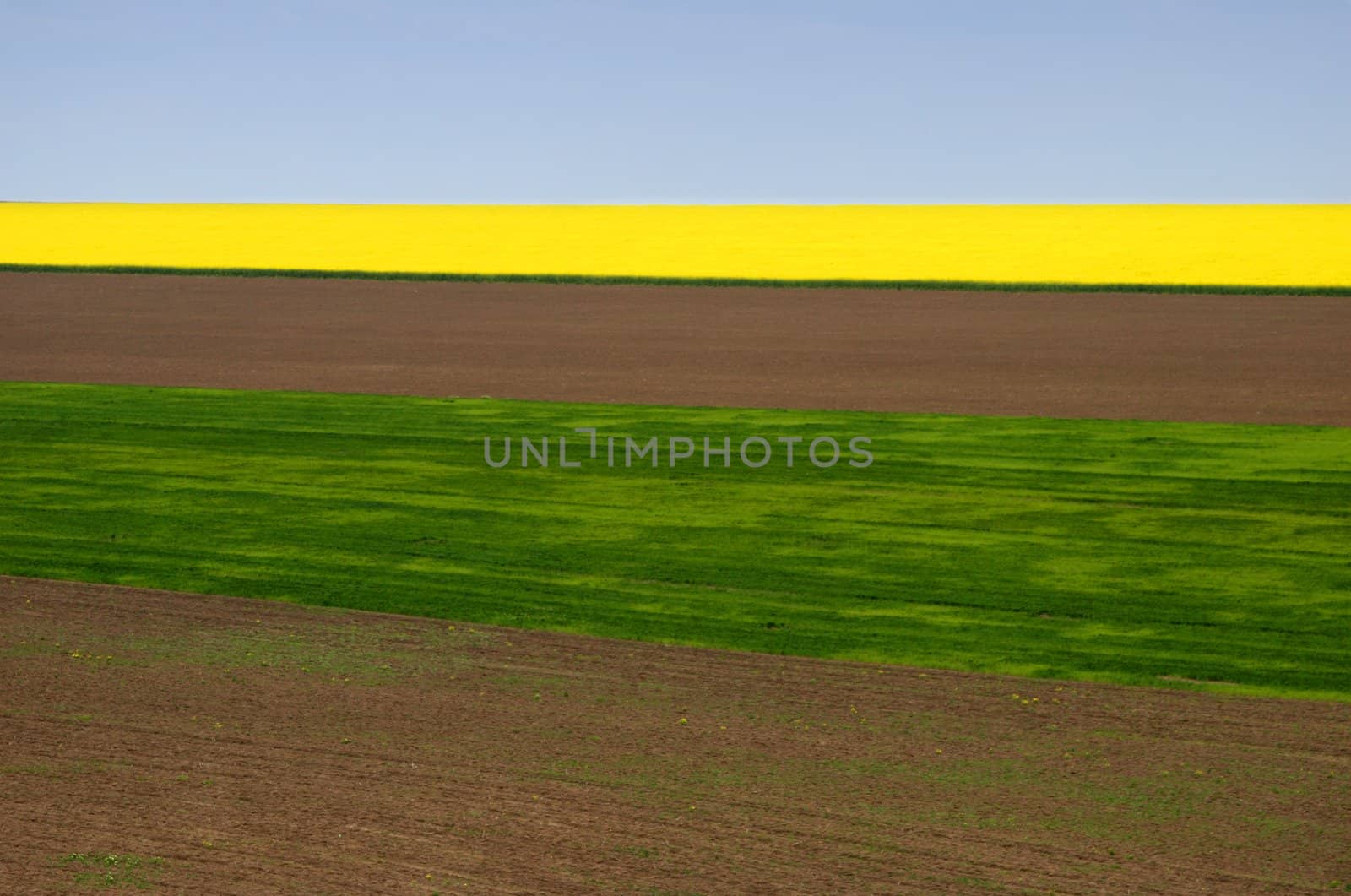 Beautiful, idyllic Country Side. Four separated fields