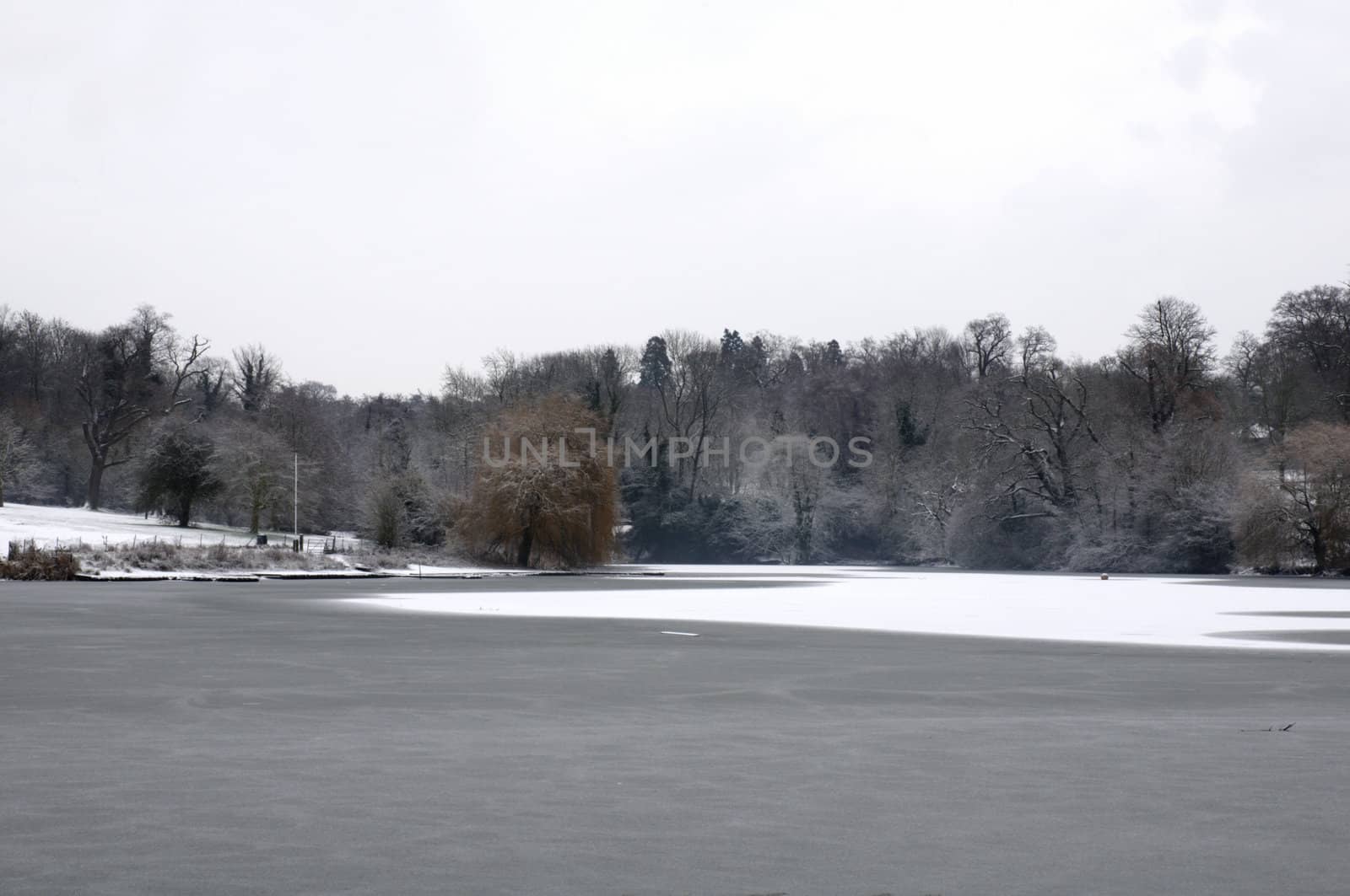 A view of a lake in winter with snow