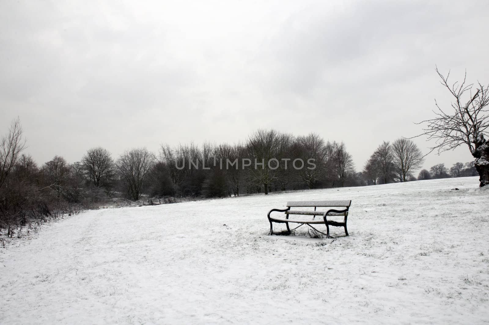 A path bench in a park covered in snow with trees in the background