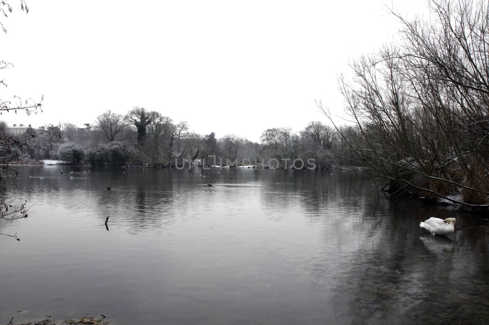 A view of a lake in winter with snow