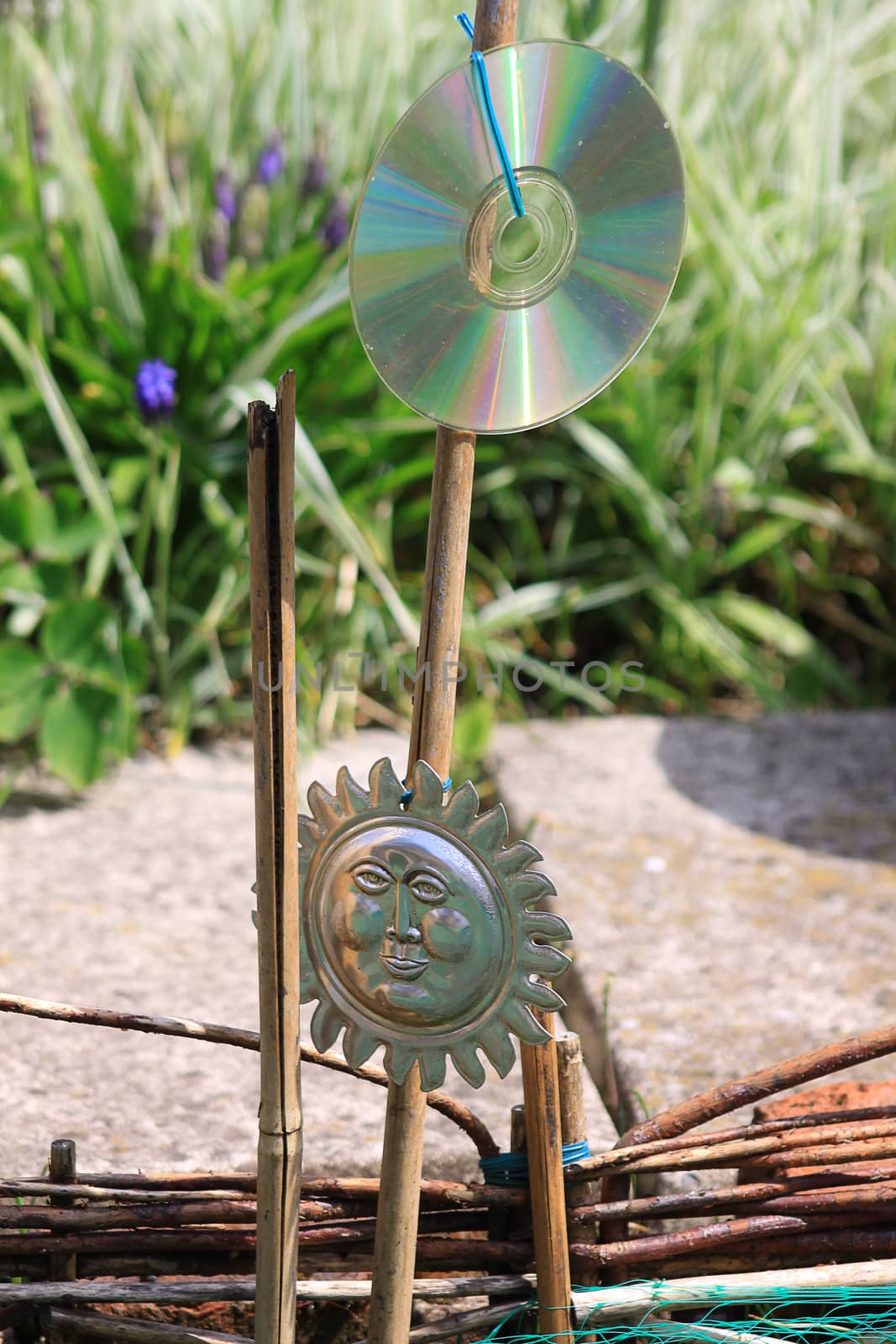 A home made bird scarer set over an urban garden vegetable patch. A discarded CD disk and a round tin sun shaped disk are tied to a bamboo pole.