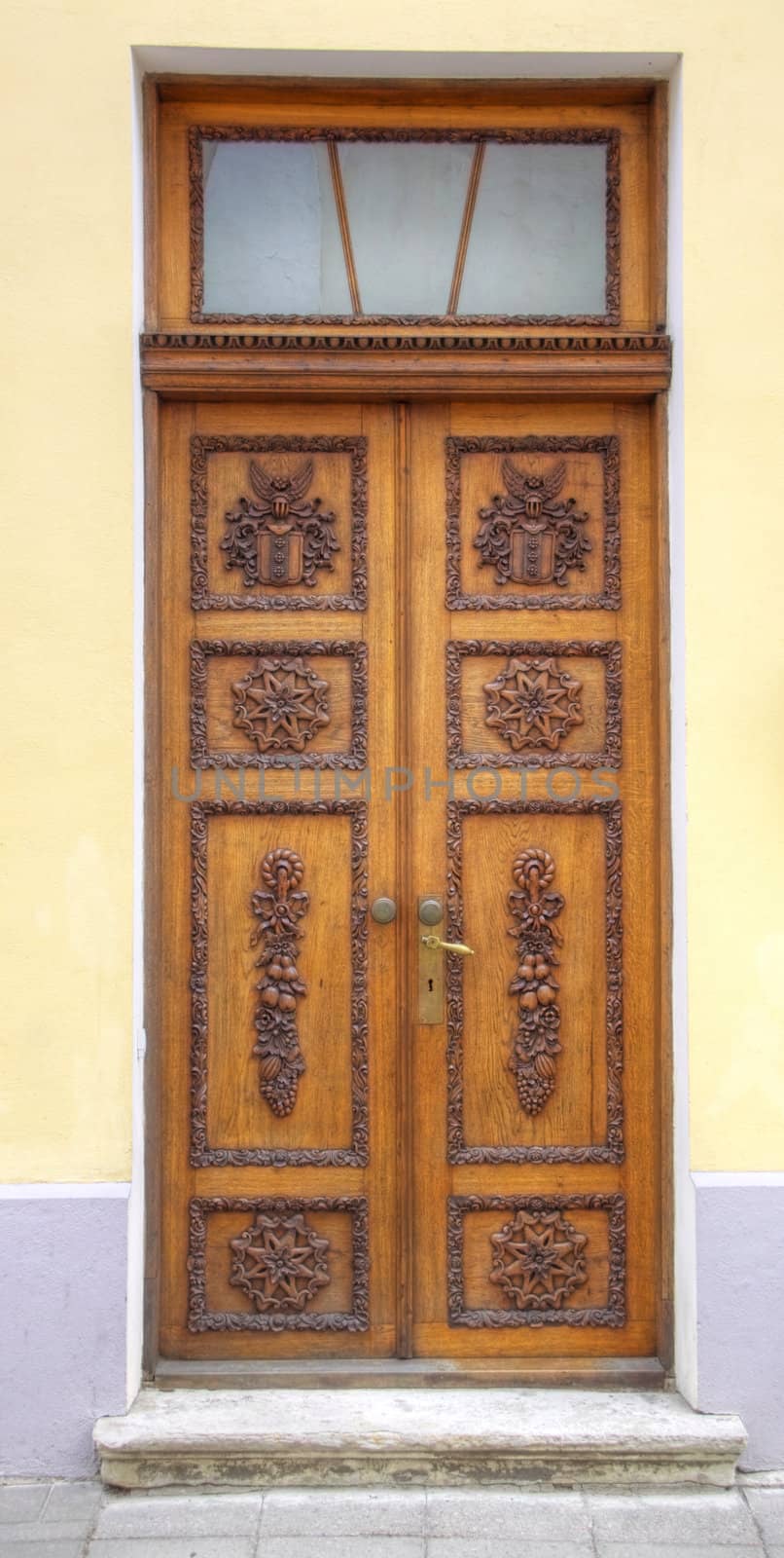 antique door by vadimone