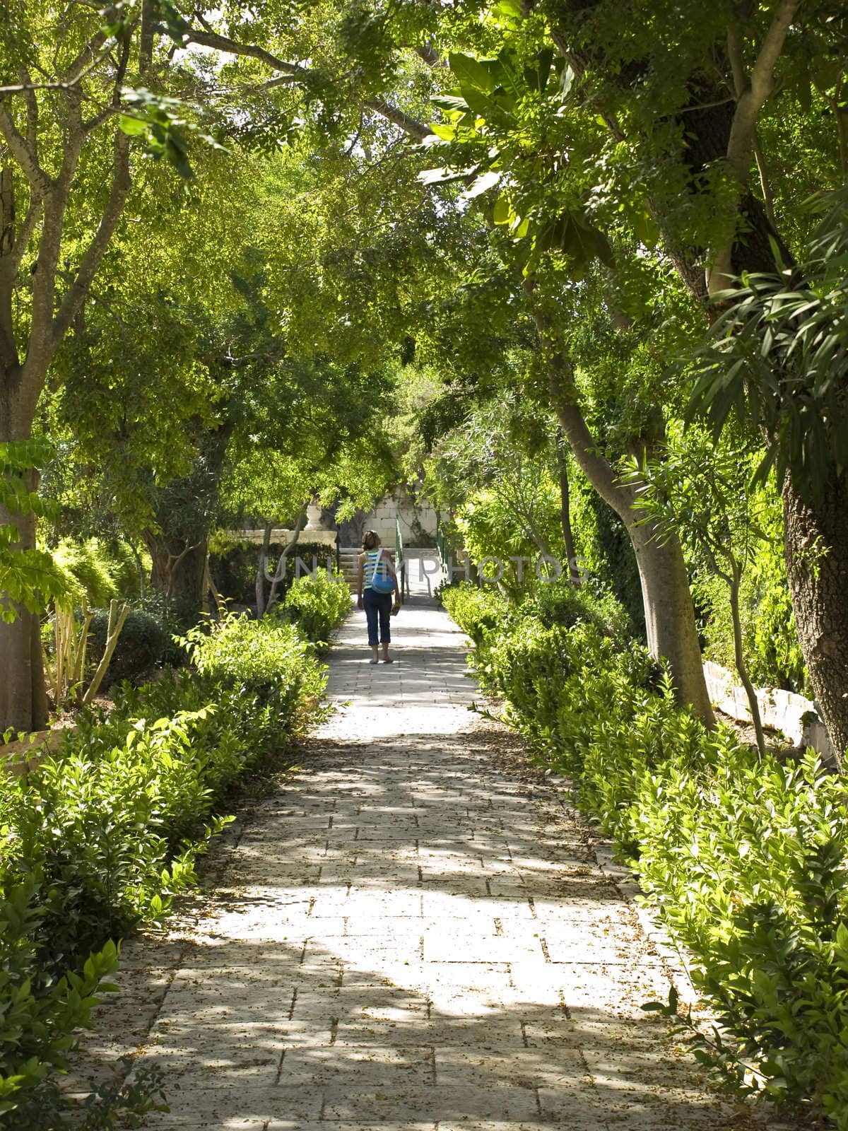Lone woman taking a stroll on a path in a garden
