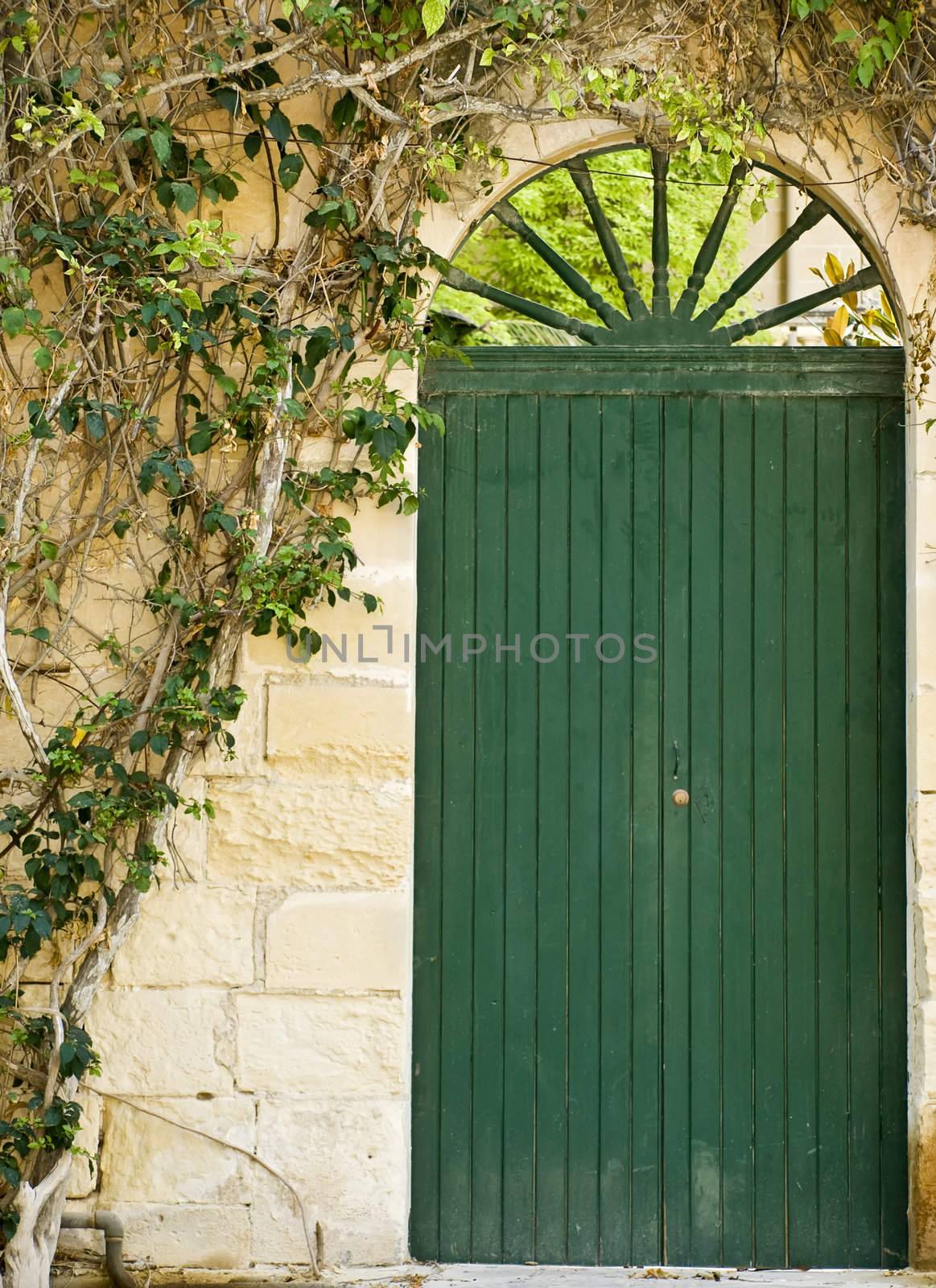 A medieval garden door painted in deep green next to climbing plant