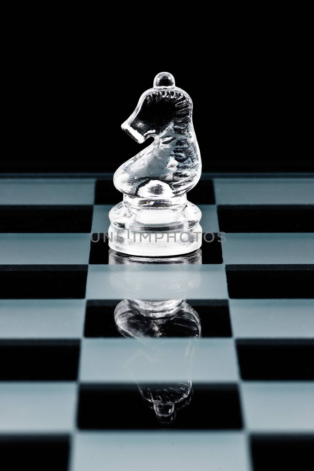 Glass chess knight by naumoid