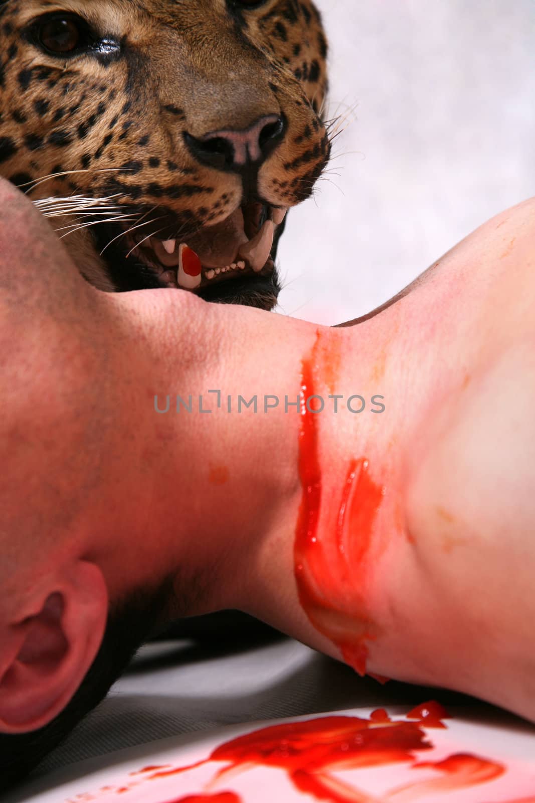 The man with blood on a throat and the leopard on a background