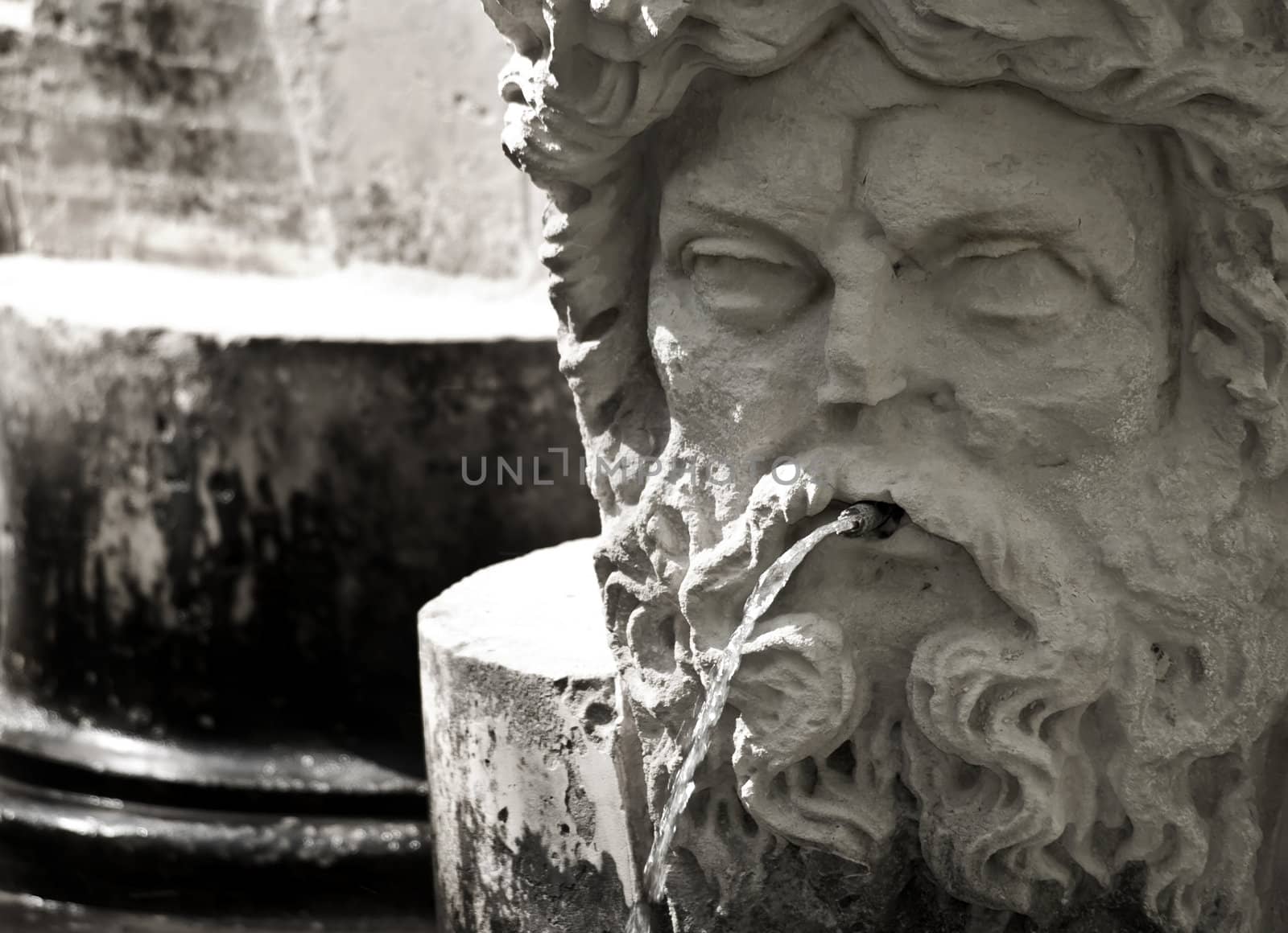 Medieval Garden Statue by PhotoWorks