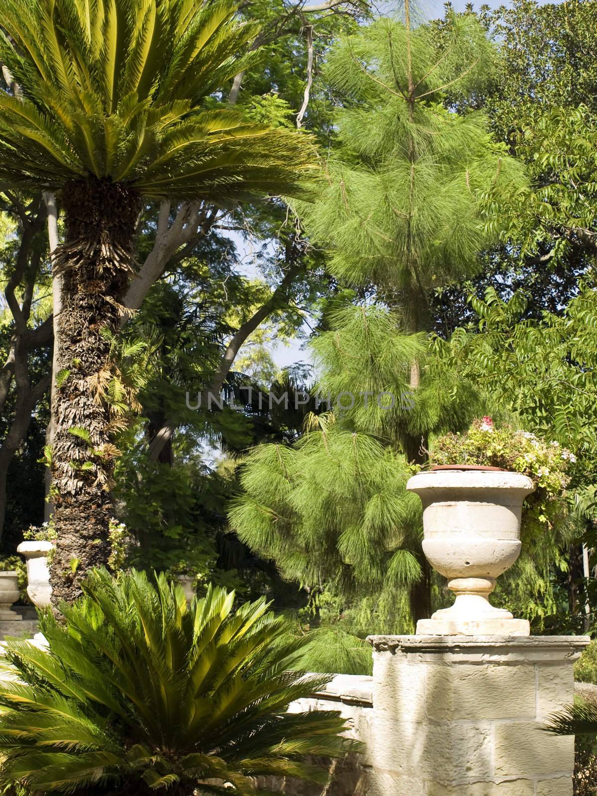 General view of rich and mature gardens in Malta