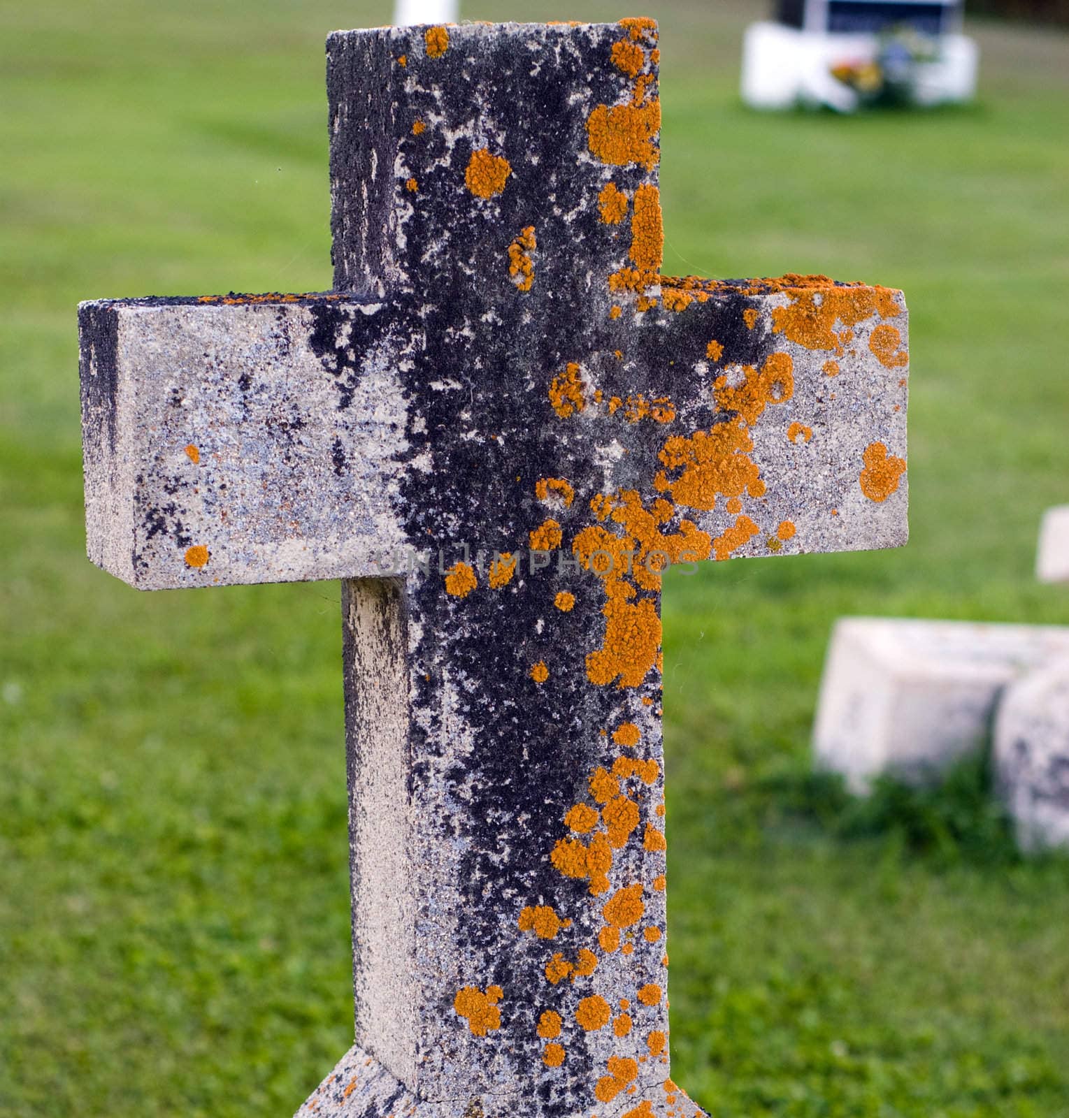 Closeup of a tombstone with moss growing on it