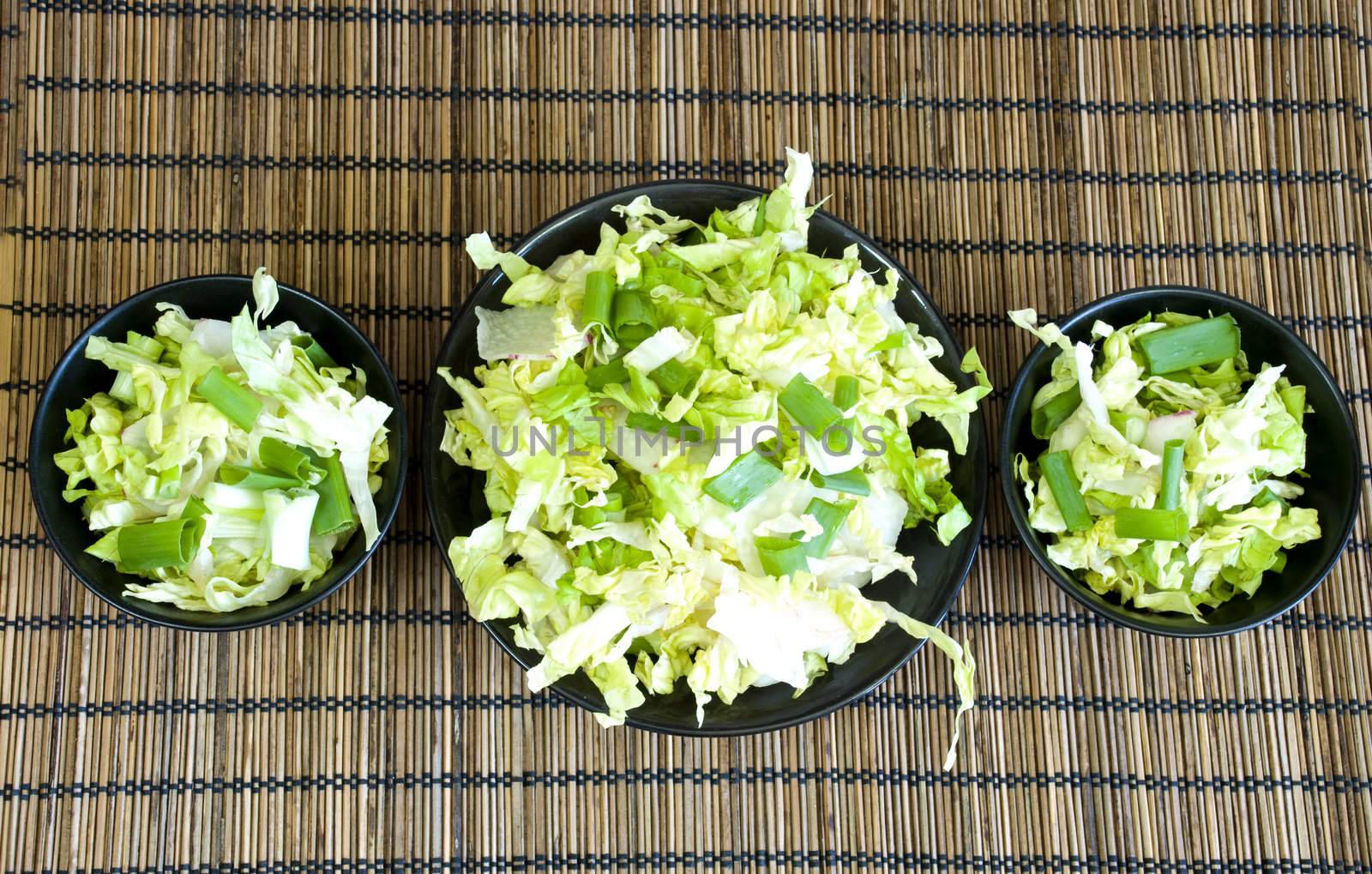 two small portions and one big portion of healthy organic salad