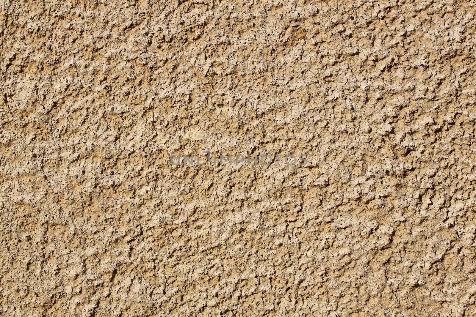 old house wall texture in sunny day