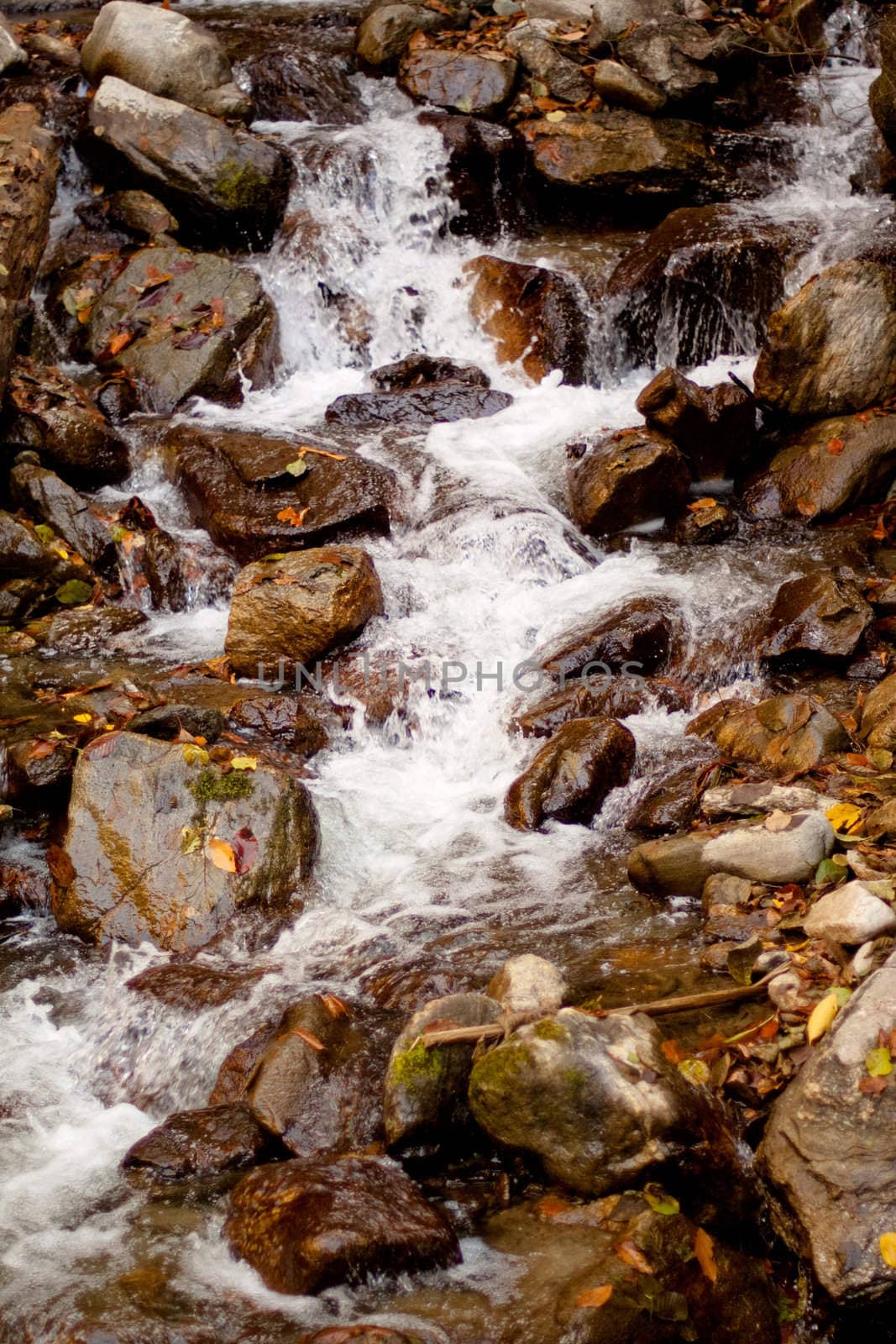 small waterfall, stones and leaves
