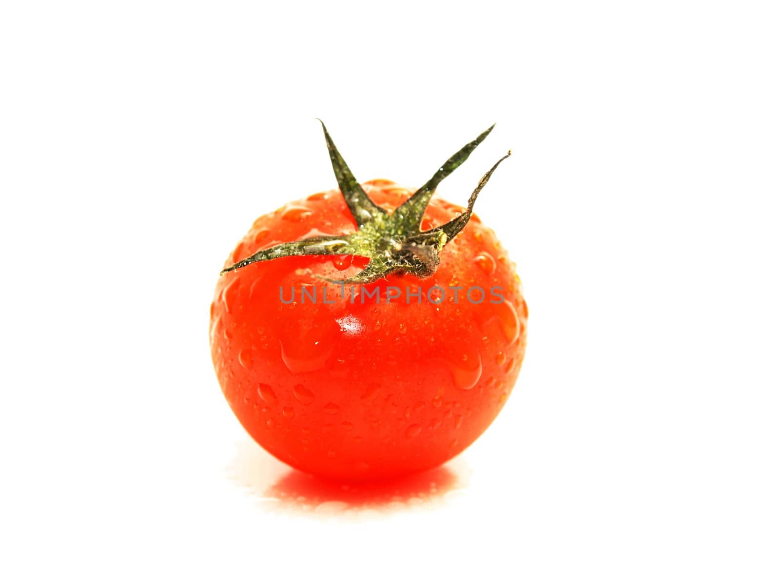 Tomato by Arvebettum