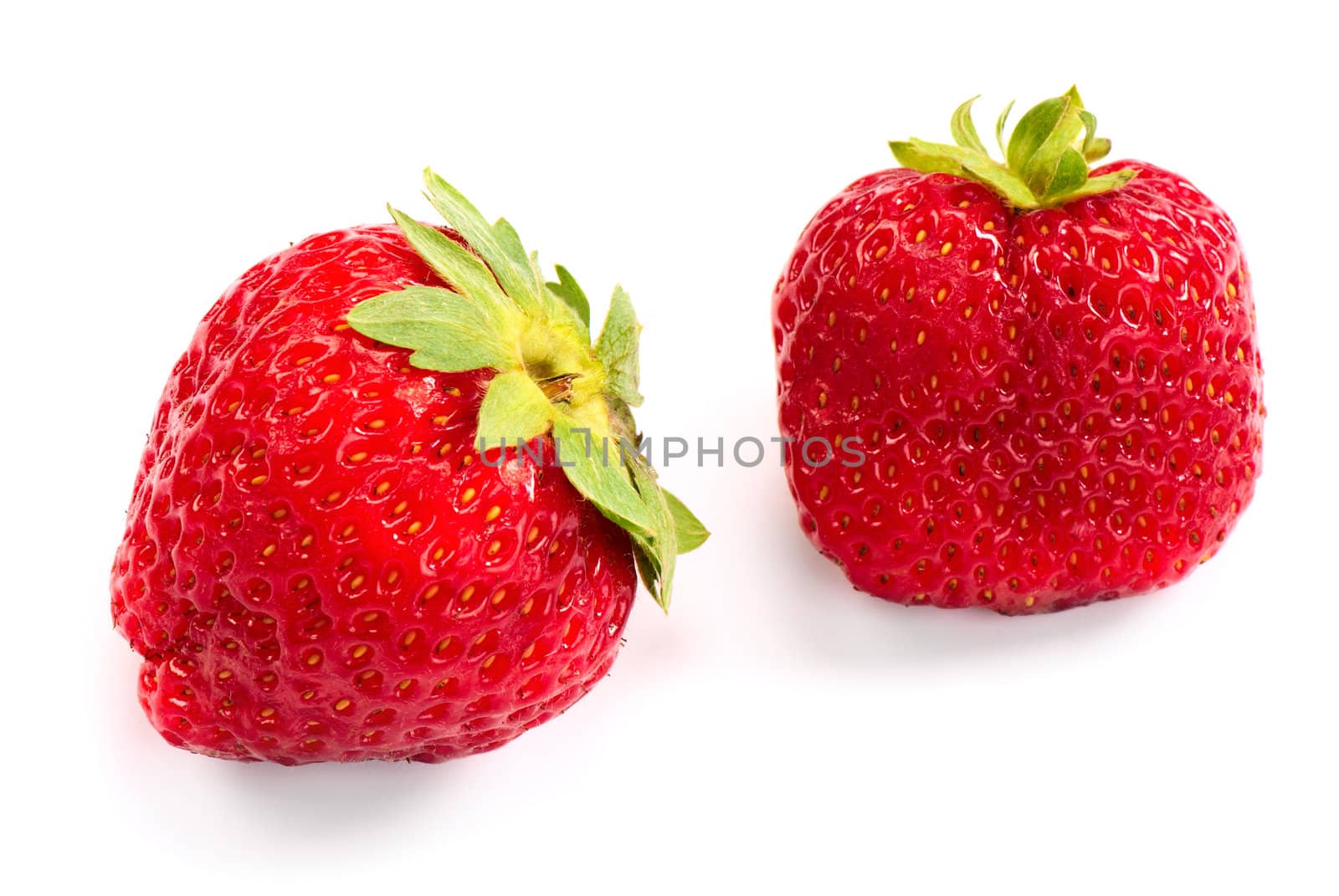 Two fresh red summer strawberry with green leaf on white background. Close up.