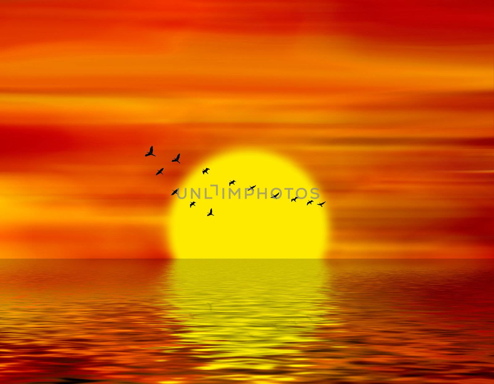 Abstract illustration of the sunset and birds of passage